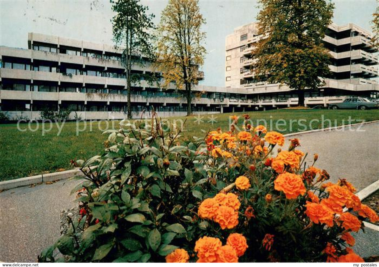 73721383 Bad Rappenau Salinen Sanatorium Blumen Bad Rappenau - Bad Rappenau