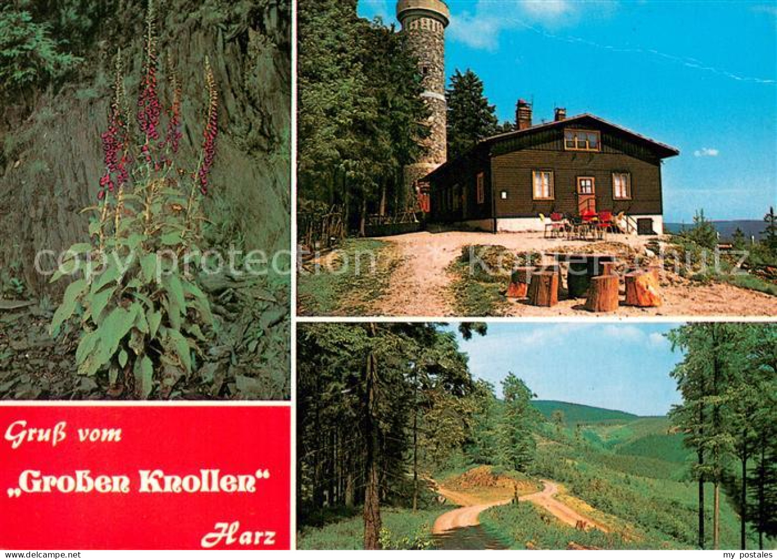 73721336 Herzberg Harz Gerggaststaette Grosser Knollen Teilansichten Herzberg Ha - Herzberg