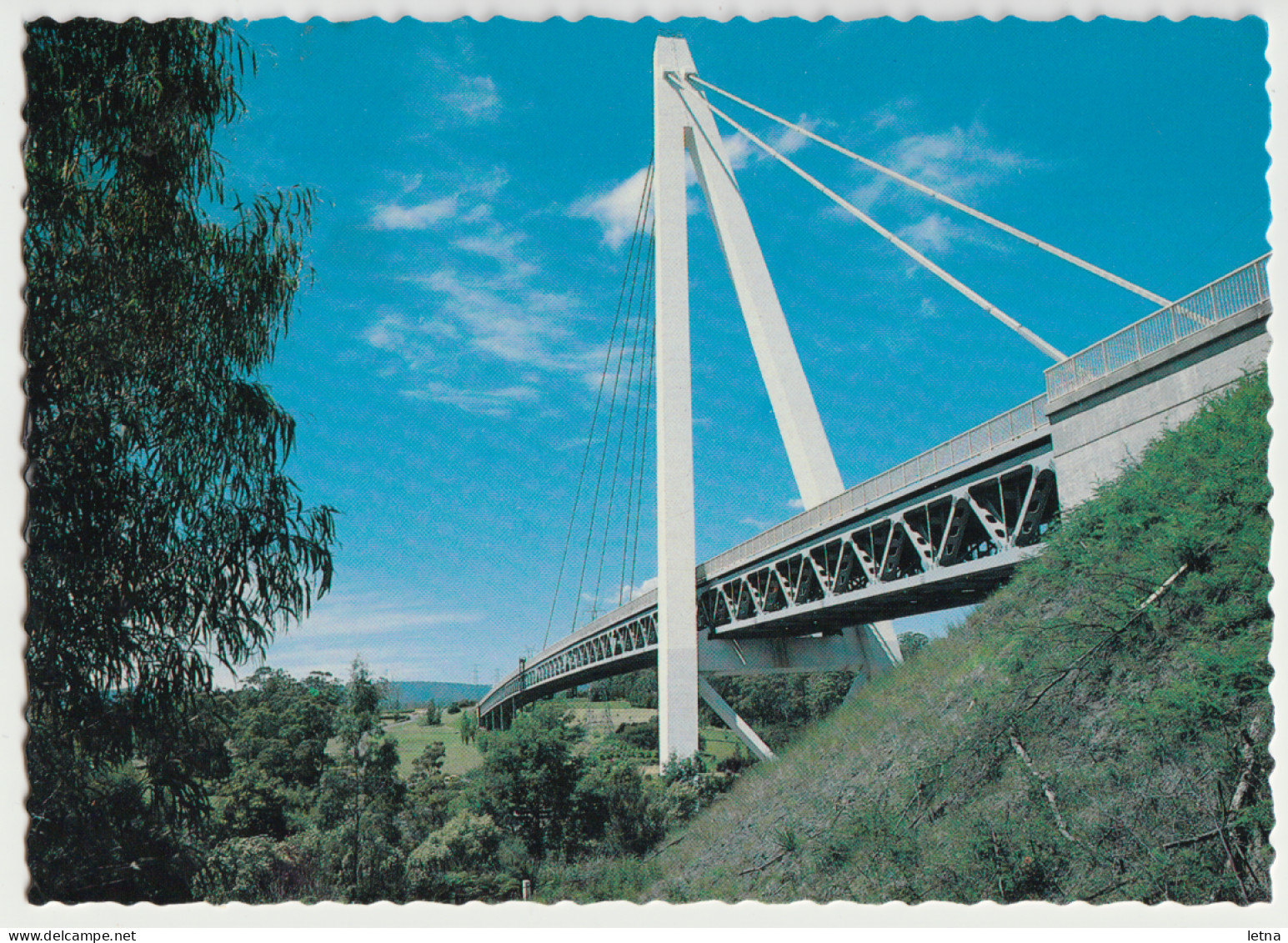 Australia TASMANIA TAS Batman Bridge On TAMAR RIVER Douglas DS279 Postcard C1970s - Otros & Sin Clasificación