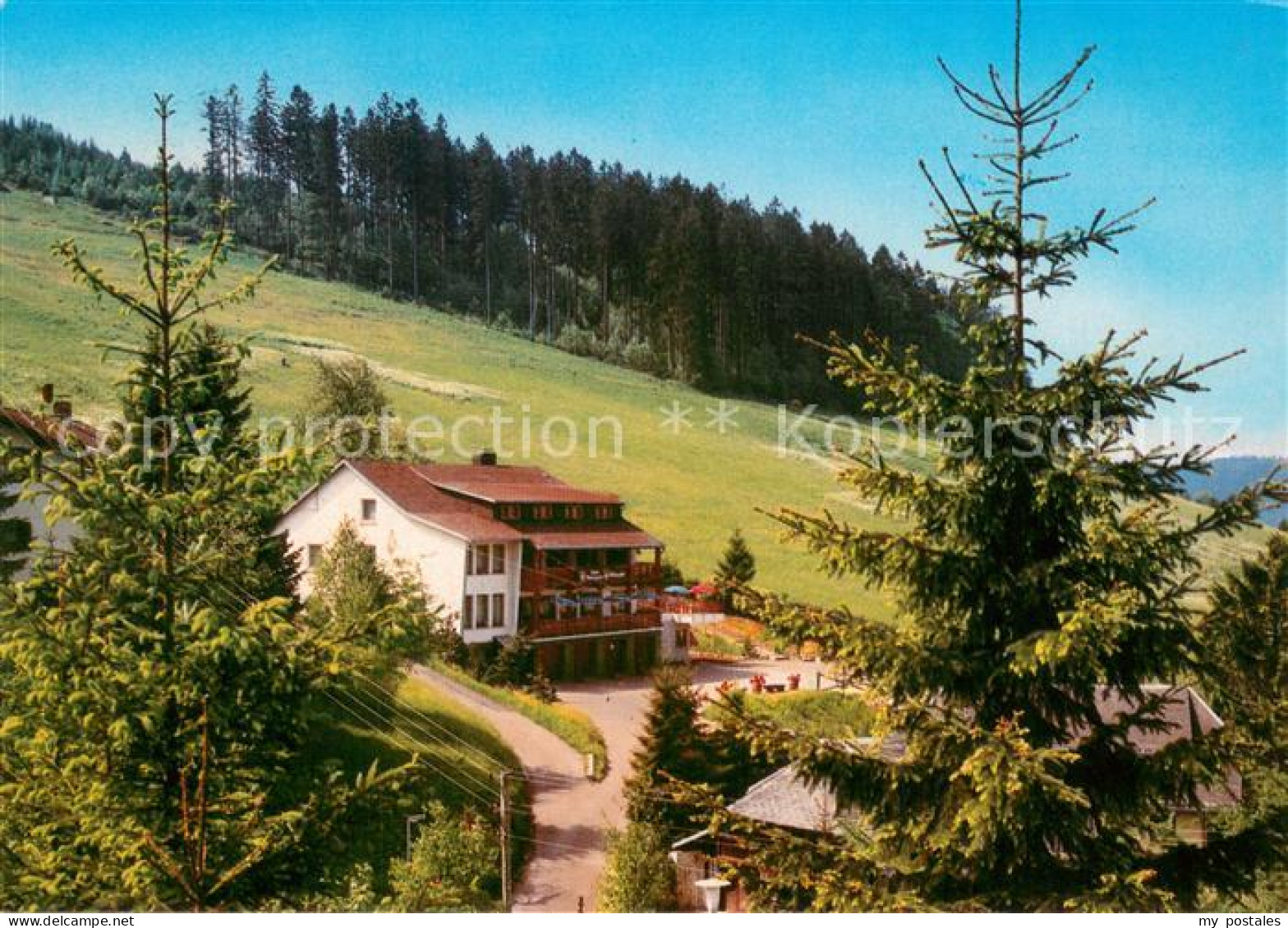 73685003 Todtnauberg Berghotel Ruebezahl Im Schwarzwald Todtnauberg - Todtnau