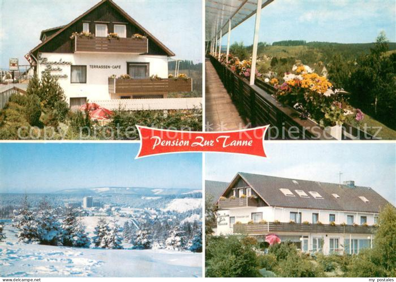 73684961 Altenau Harz Pension Zur Tanne Im Sommer Und Winter Altenau Harz - Altenau