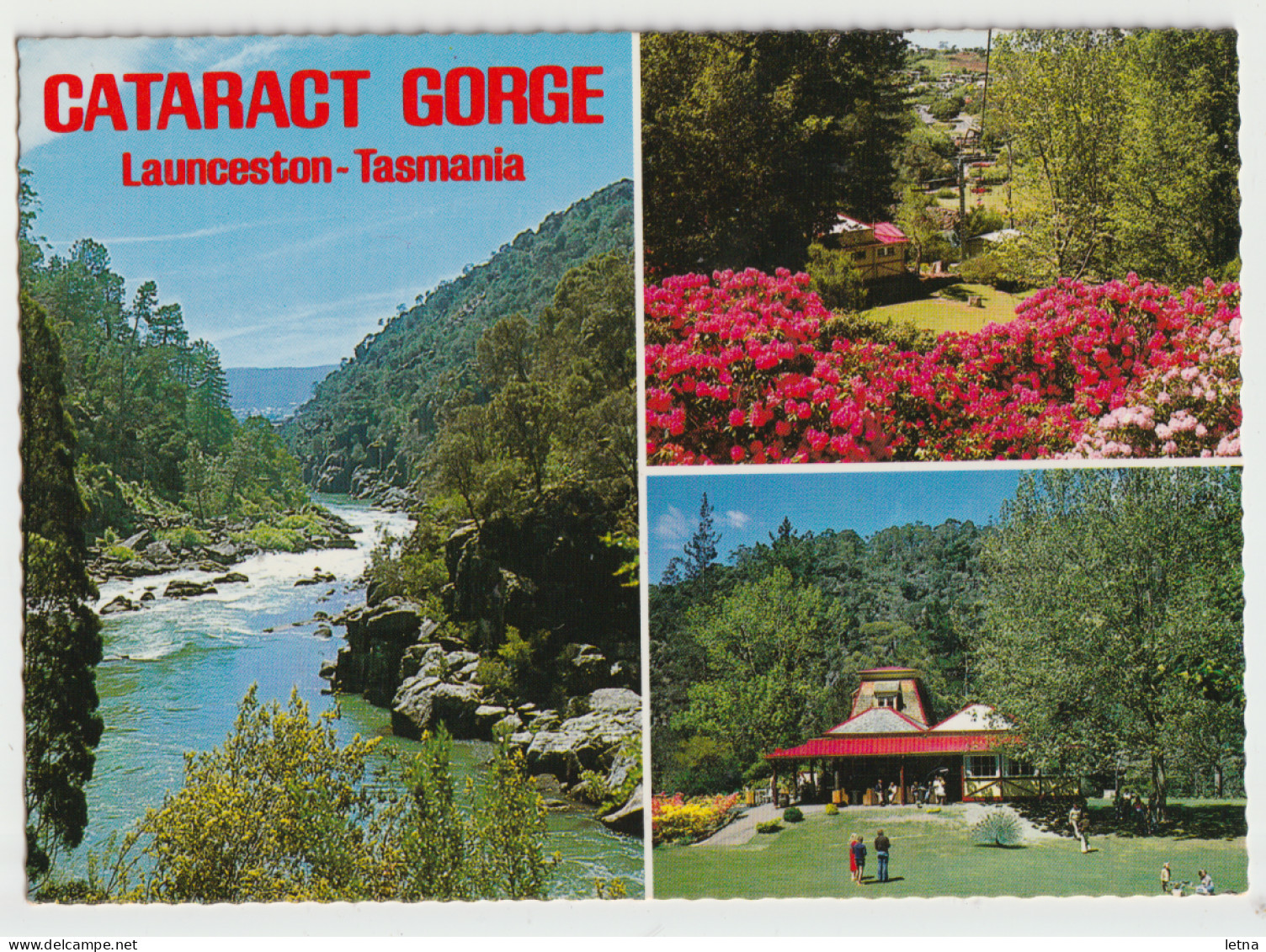 Australia TASMANIA TAS Cataract Gorge Tea Rooms LAUNCESTON Douglas DS310 Multiview Postcard C1970s - Lauceston