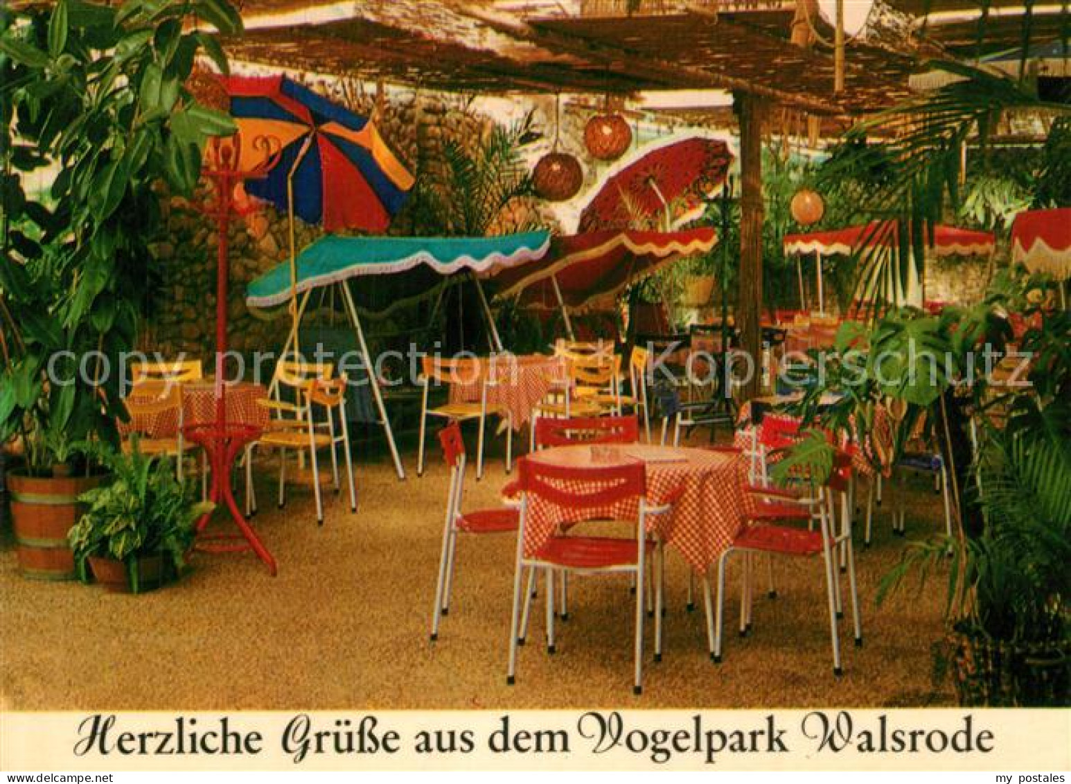 73574793 Walsrode Lueneburger Heide Vogelpark Tropencafe In Der Paradieshalle Wa - Walsrode