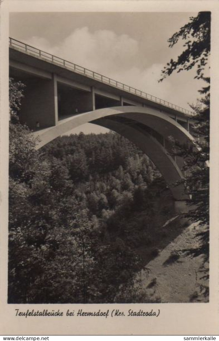 30991 - Hermsdorf - Teufelstalbrücke - 1959 - Hermsdorf