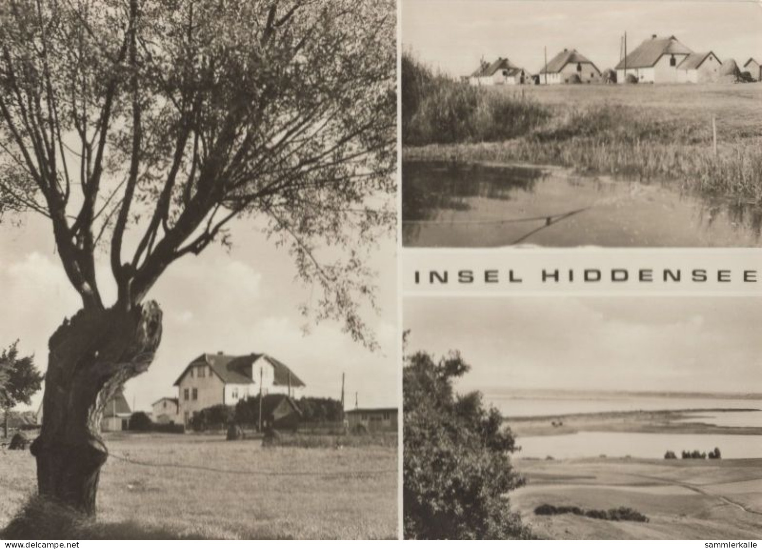 136022 - Hiddensee - 3 Bilder - Hiddensee
