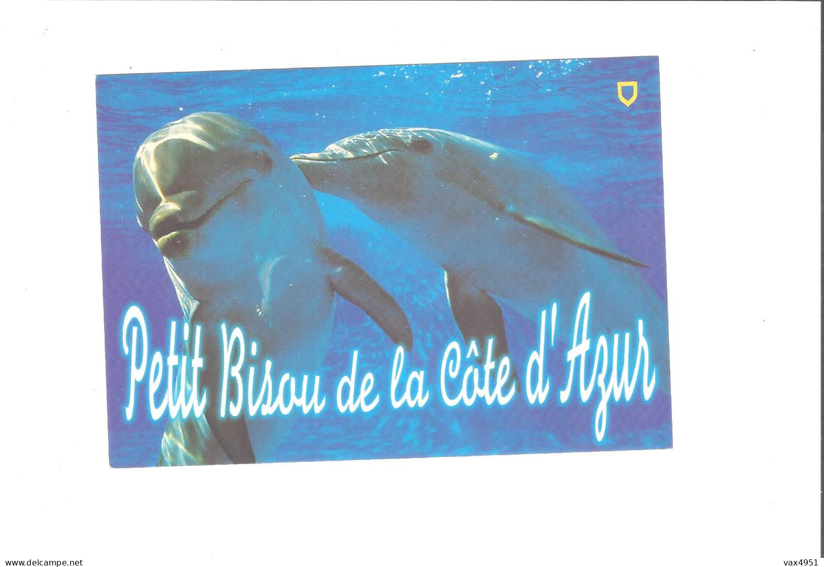 DAUPHINS   THEME  PETIT BISOU DE LA COTE D AZUR          ///      A  SAISIR ***** - Delfines