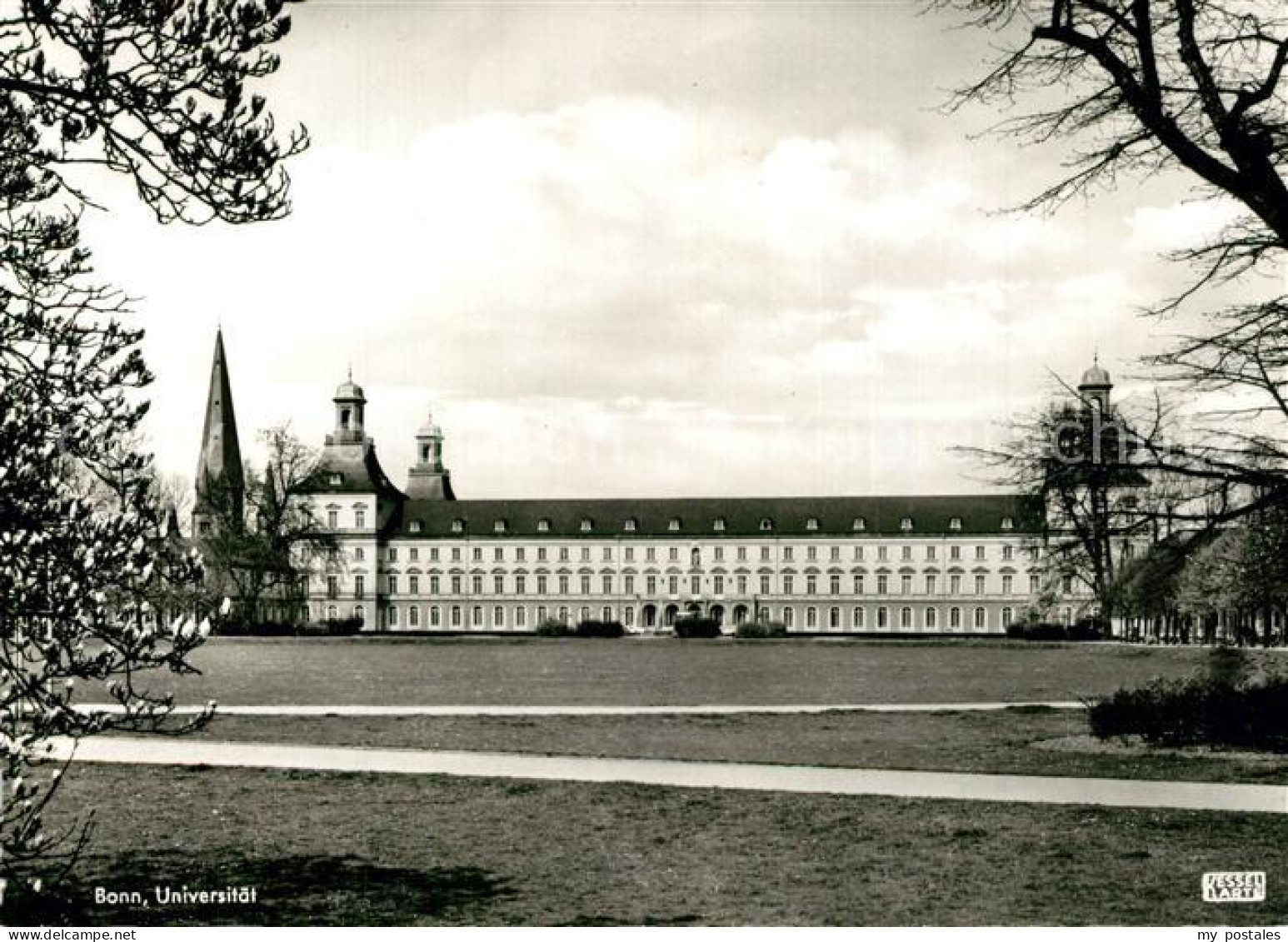 73574336 Bonn Rhein Universitaet Bonn Rhein - Bonn