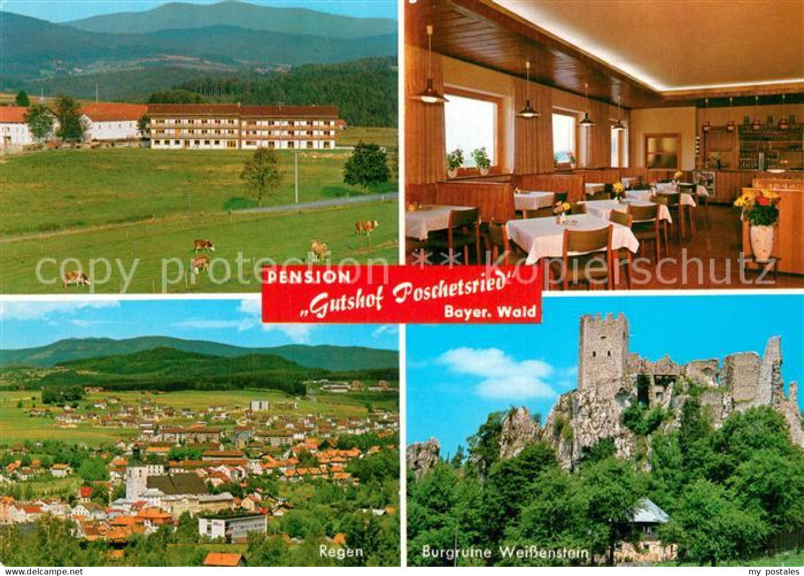 73574243 Poschetsried Pension Gutshof Poschetsried Burgruine Weissenstein Bayeri - Regen