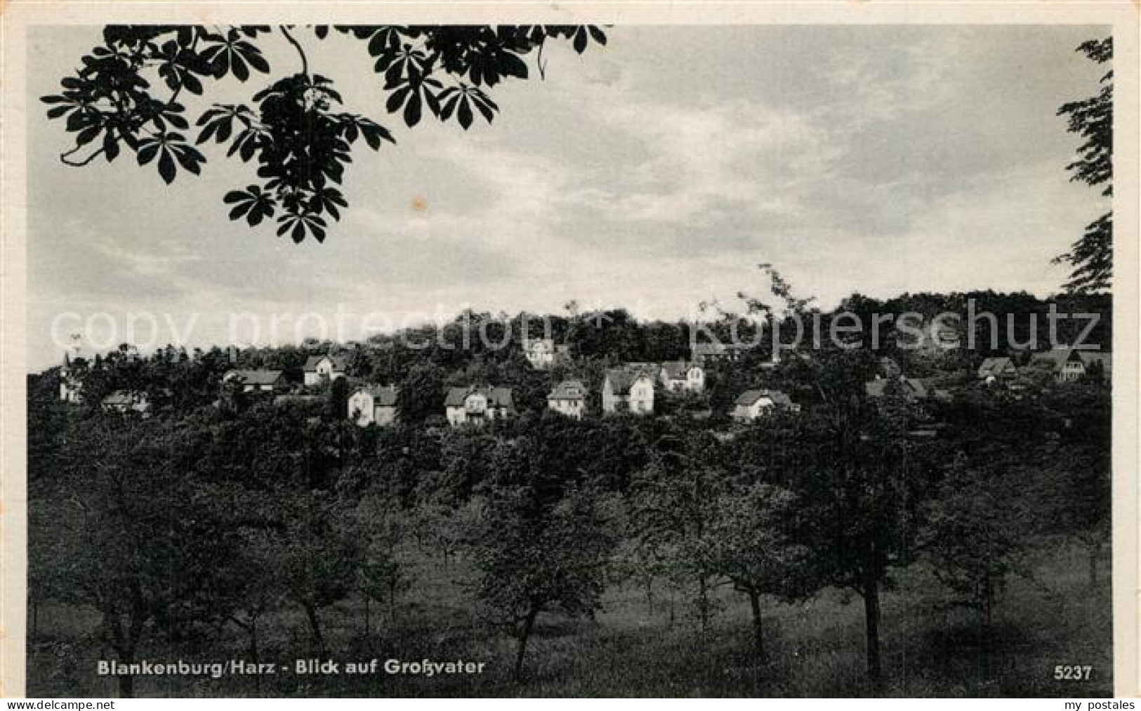 73573061 Blankenburg Harz Blick Auf Grossvater Blankenburg Harz - Blankenburg