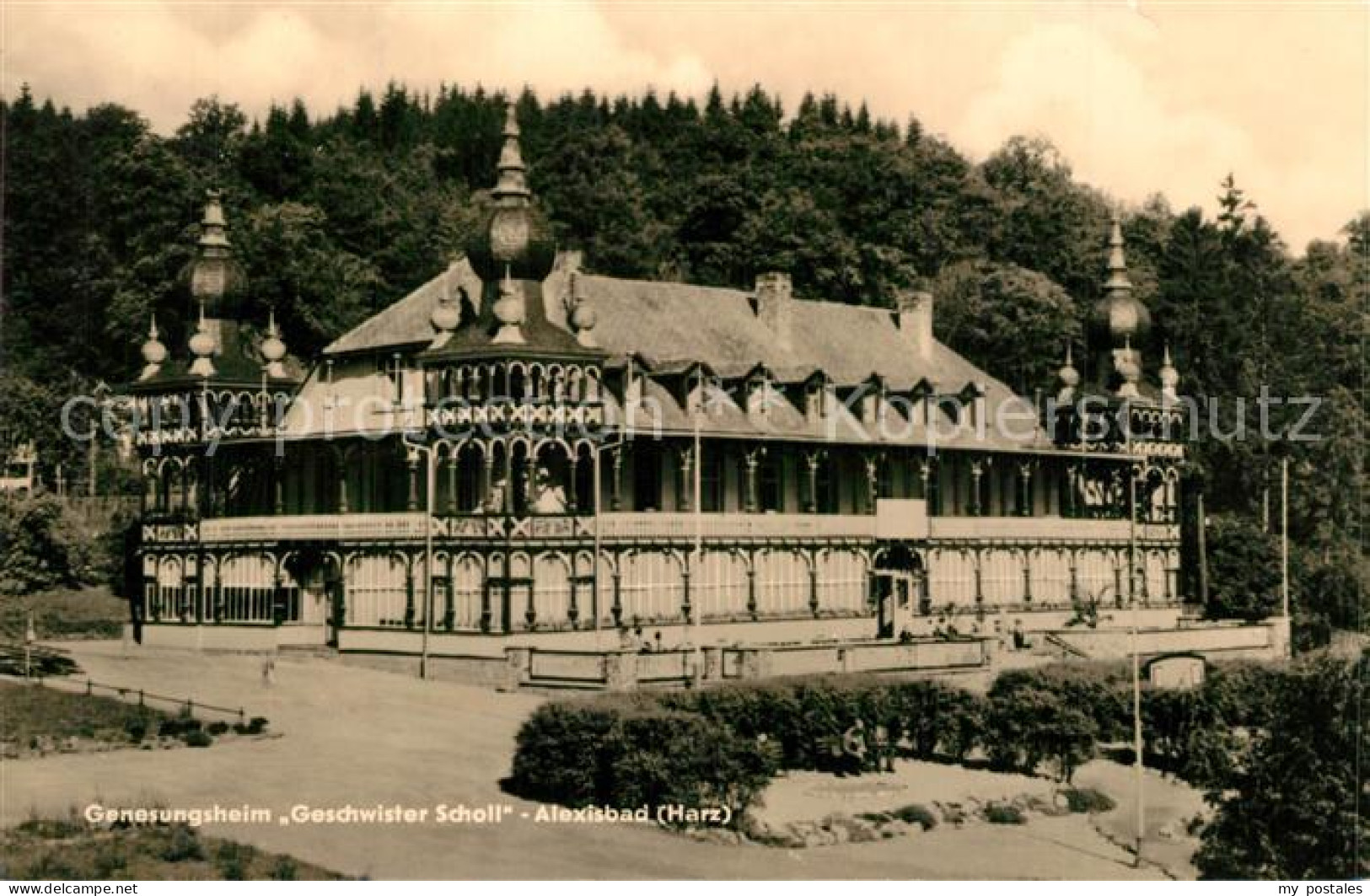 73572616 Alexisbad Harz Genesungsheim Geschwister Scholl Alexisbad Harz - Harzgerode