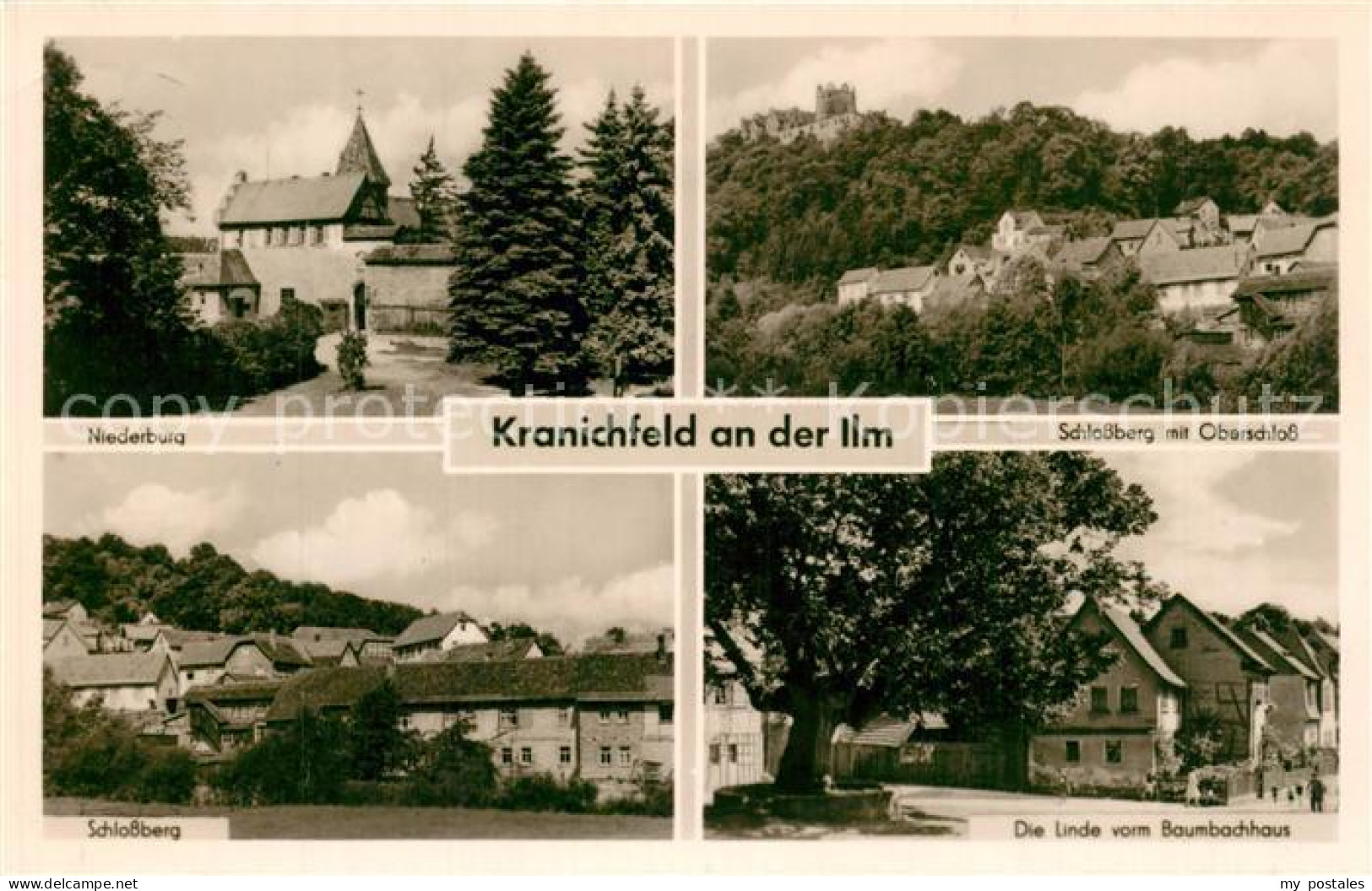 73572582 Kranichfeld Niederburg Schlossberg Oberschloss Linde Baumbachhaus Krani - Kranichfeld