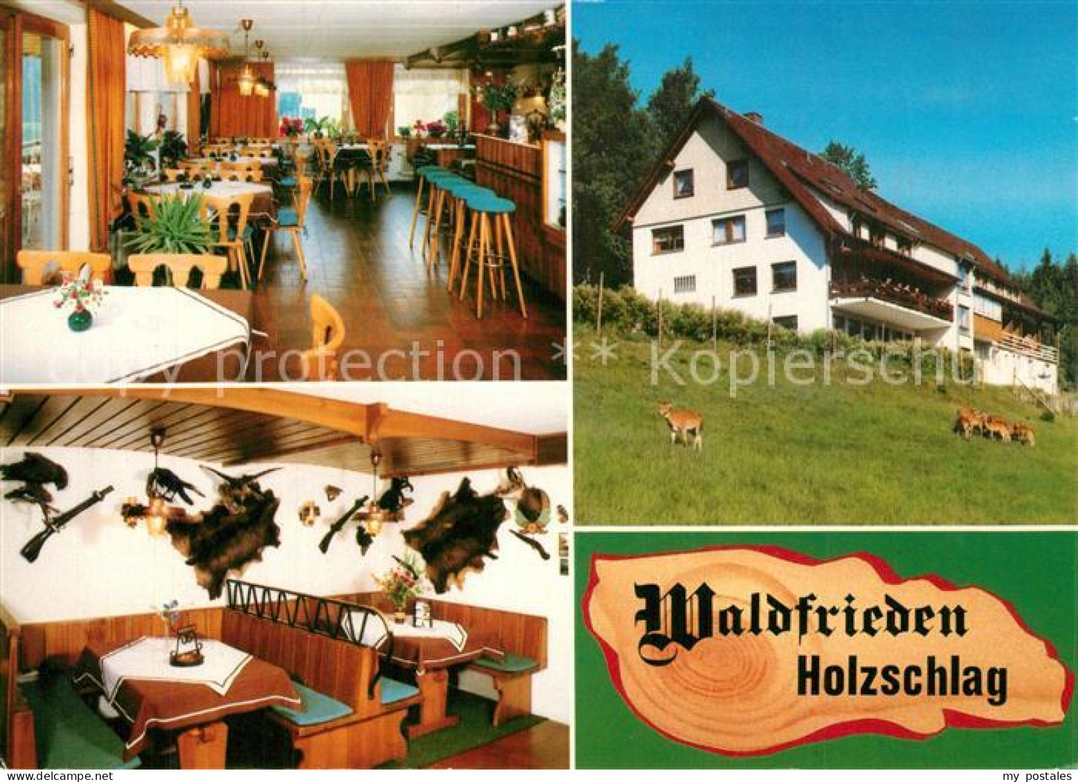 73571477 Holzschlag Bonndorf Pension Waldfrieden Mit Gaestehaus Gaststube Bar Ho - Bonndorf