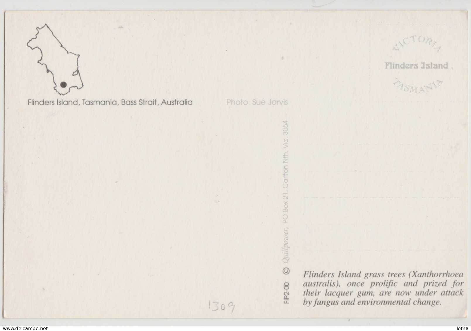 Australia TASMANIA TAS Grass Trees FLINDERS ISLAND Quillpower FIP2-00 Postcard C1980s - Andere & Zonder Classificatie