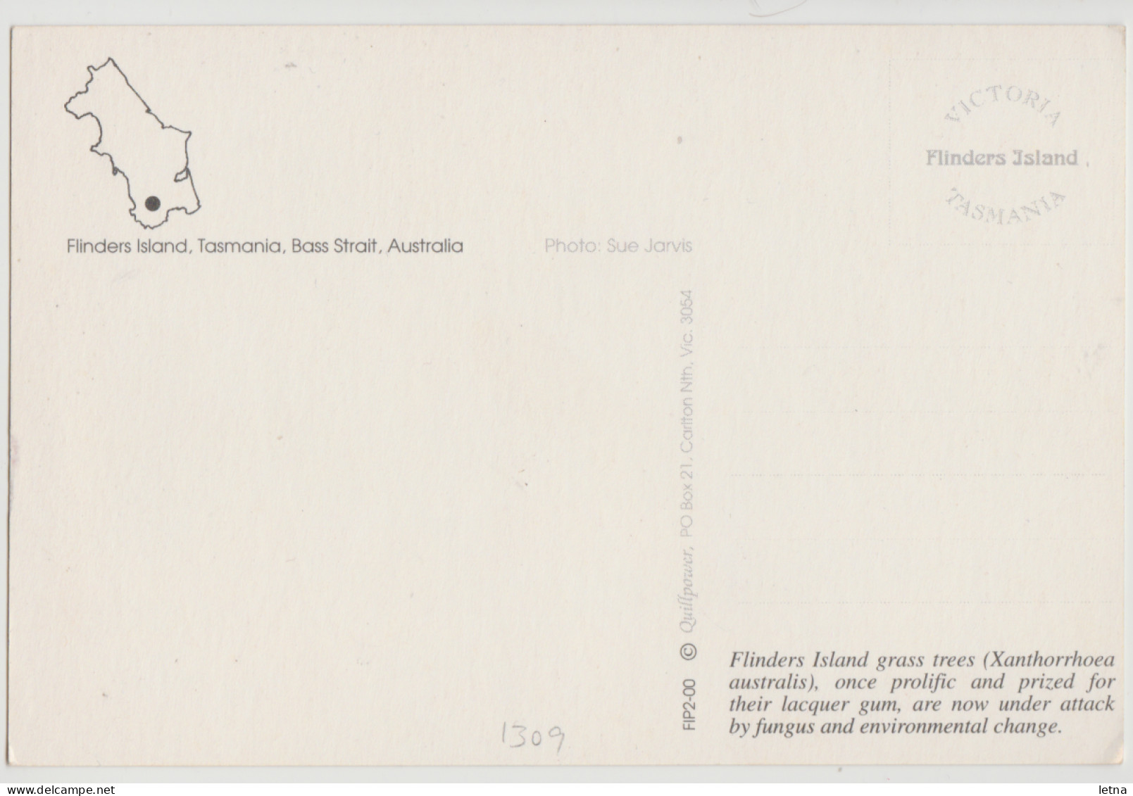 Australia TASMANIA TAS Grass Trees FLINDERS ISLAND Quillpower FIP2-00 Postcard C1980s - Autres & Non Classés