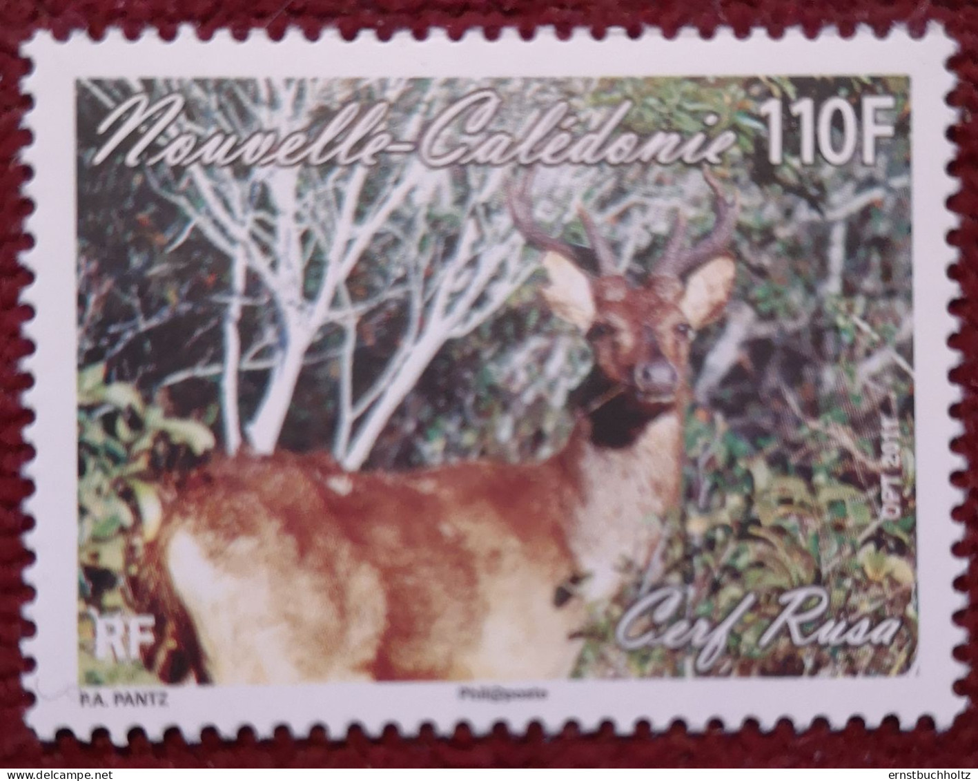 Neukaledonien 2011 Mähnenhirsch 1v ** - Unused Stamps