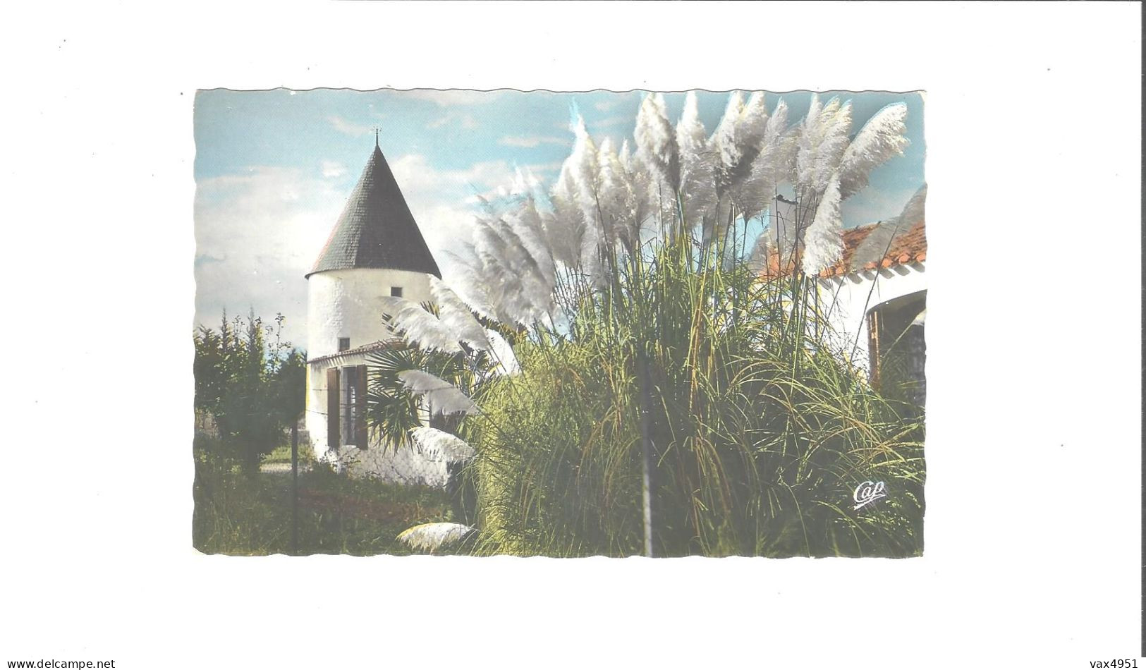 SAINT  PIERRE  D OLERON   LE MOULIN DE COIVRE    THEME   MOULINS       //    RARE     A  SAISIR ***** - Saint-Pierre-d'Oleron