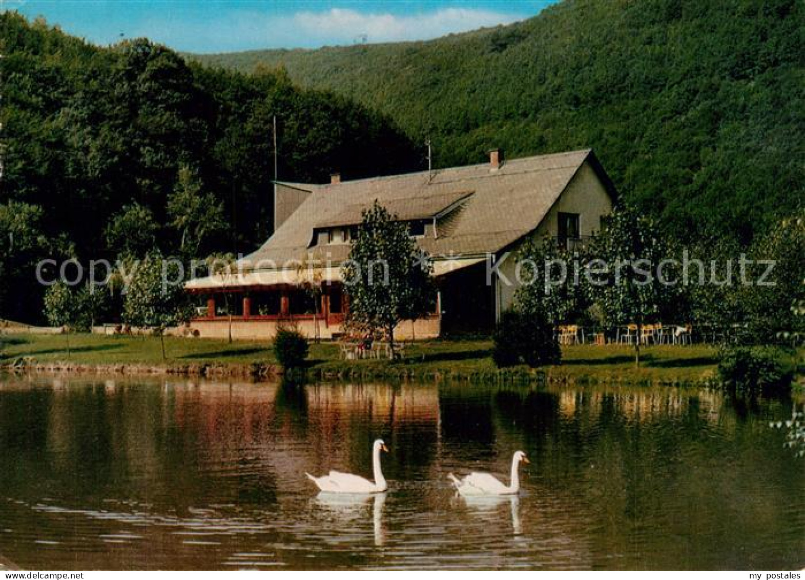 73570122 Kirn Nahe Hunsruecker Forellenhof Pension Reinhartsmuehle Teich Schwaen - Kirn