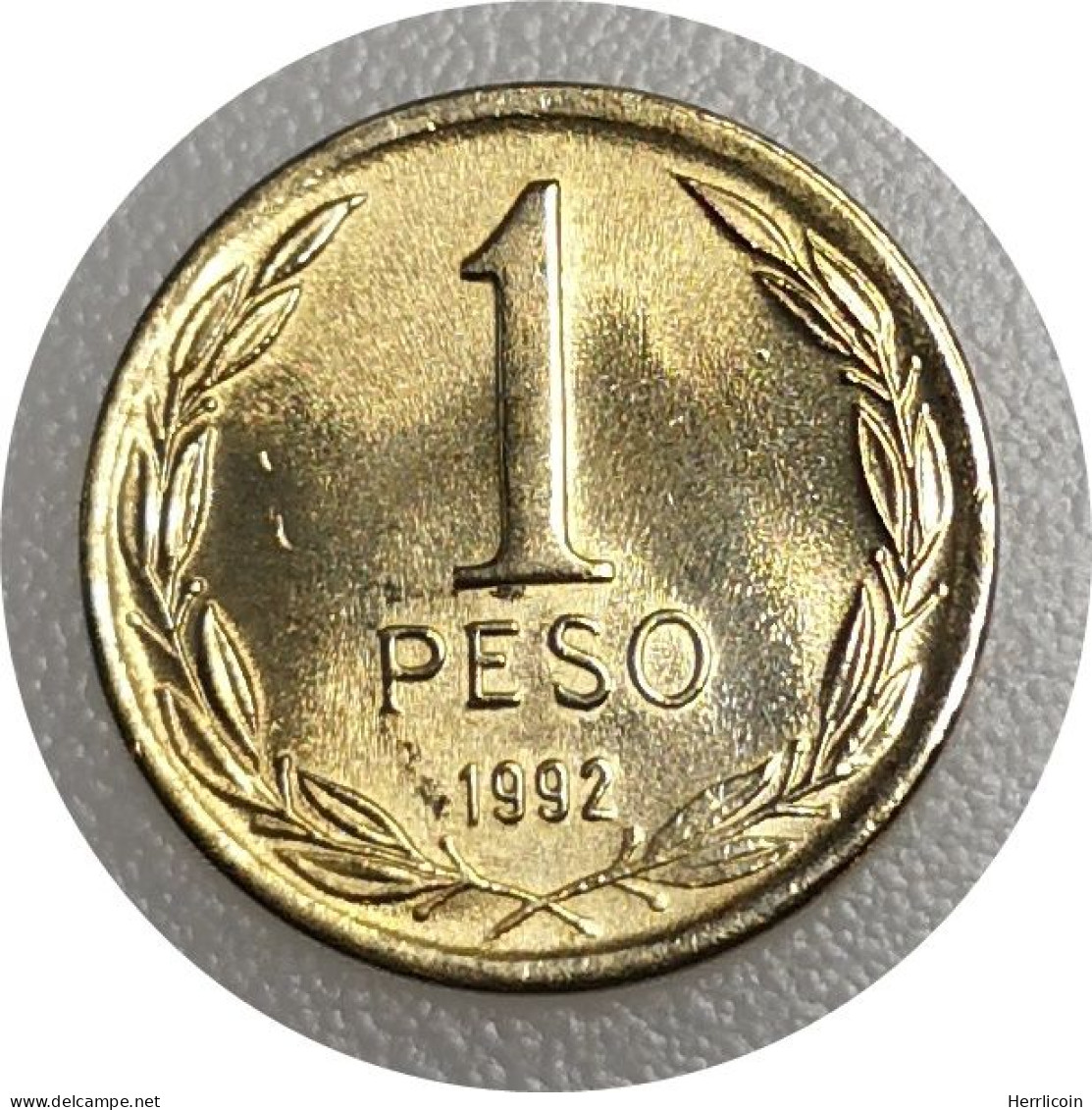 Monnaie Chili - 1992 - 1 Peso - Chile