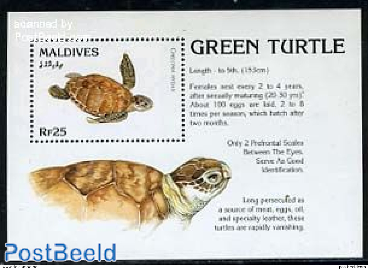 Maldives 1995 Turtles S/s, Mint NH, Nature - Reptiles - Turtles - Maldives (1965-...)