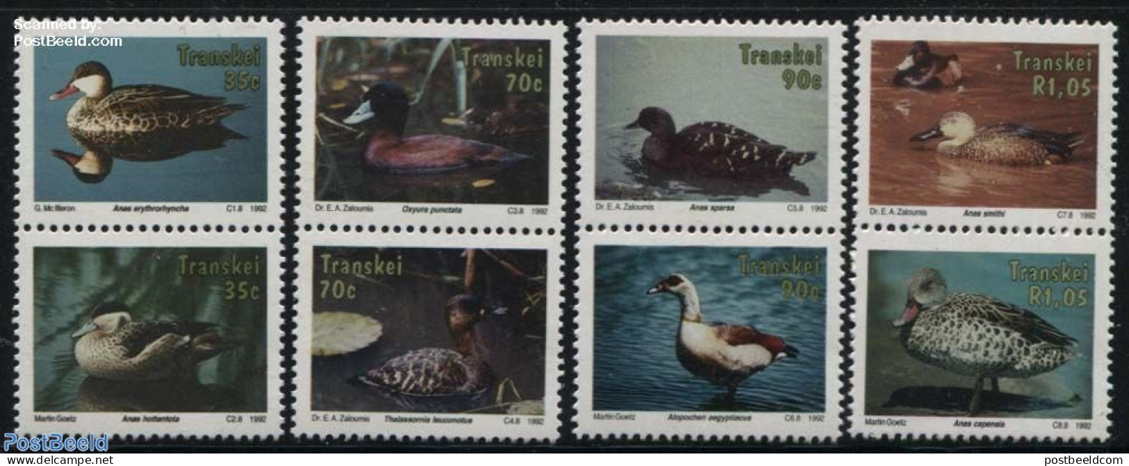 South Africa, Transkei 1992 Ducks & Gooses 4x2v, Mint NH, Nature - Birds - Ducks - Transkei
