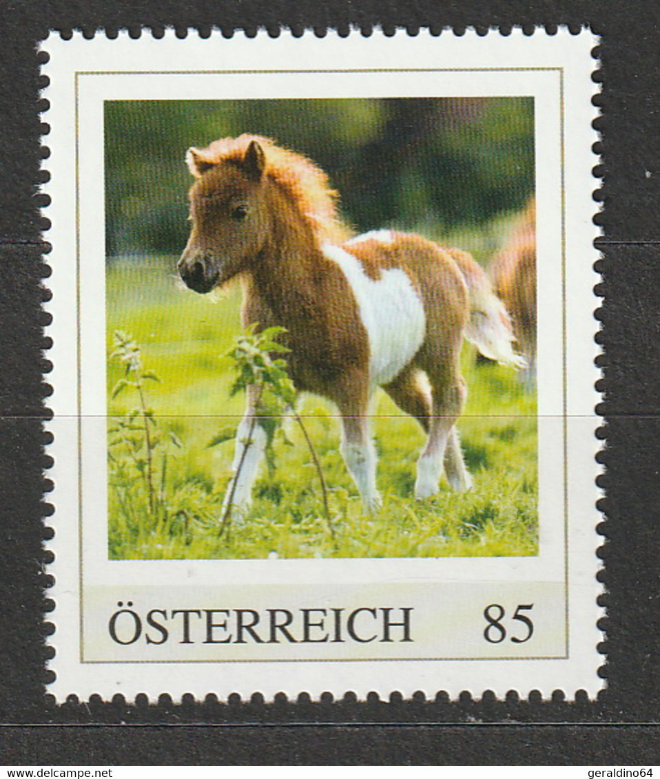 Österreich Personalisierte BM Tierkinder Fohlen ** Postfrisch - Personalisierte Briefmarken