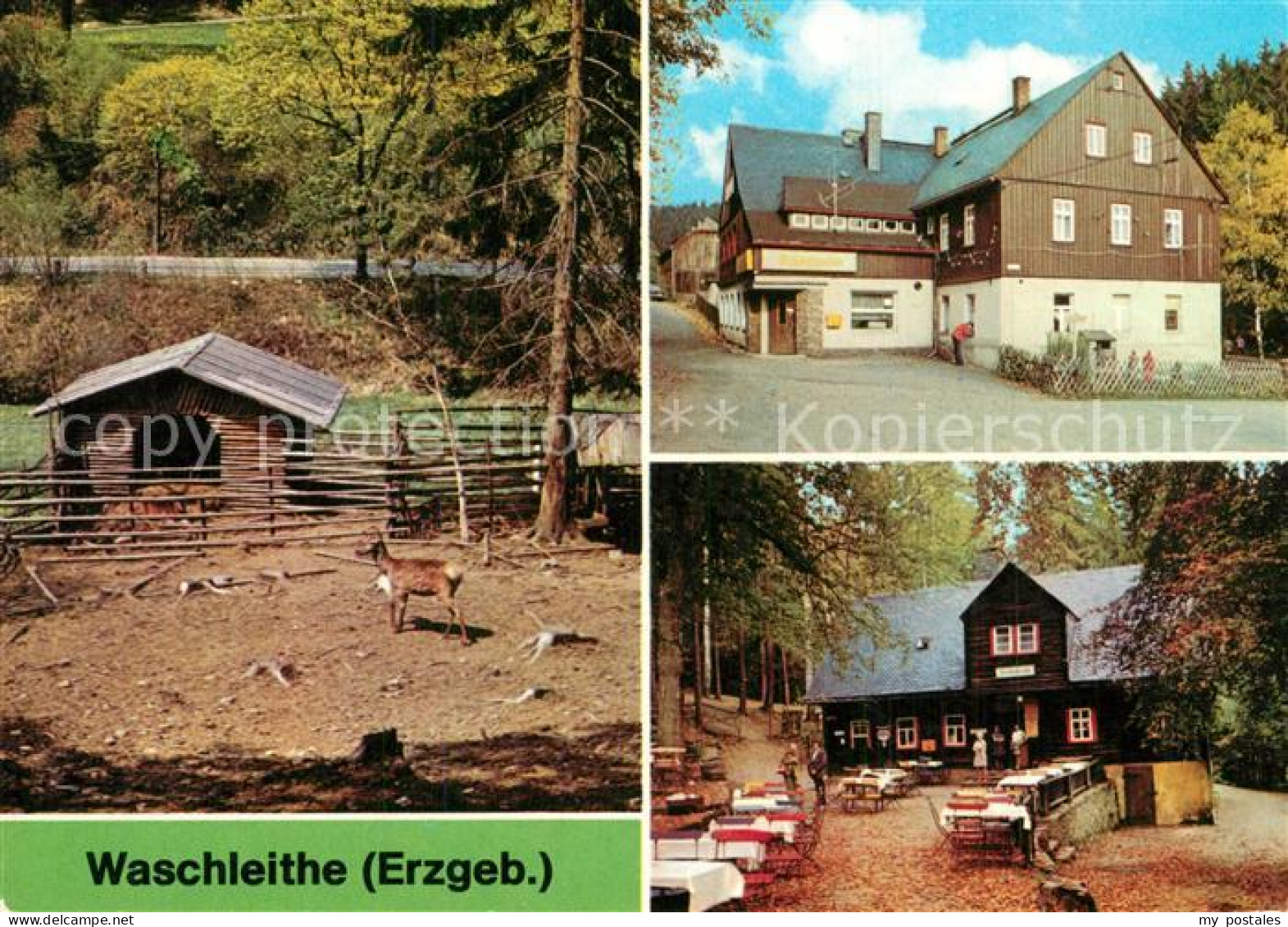 73569260 Waschleithe Tierpark Gastst?tten Osterlamm Und K?hlerh?tte  Waschleithe - Gruenhain