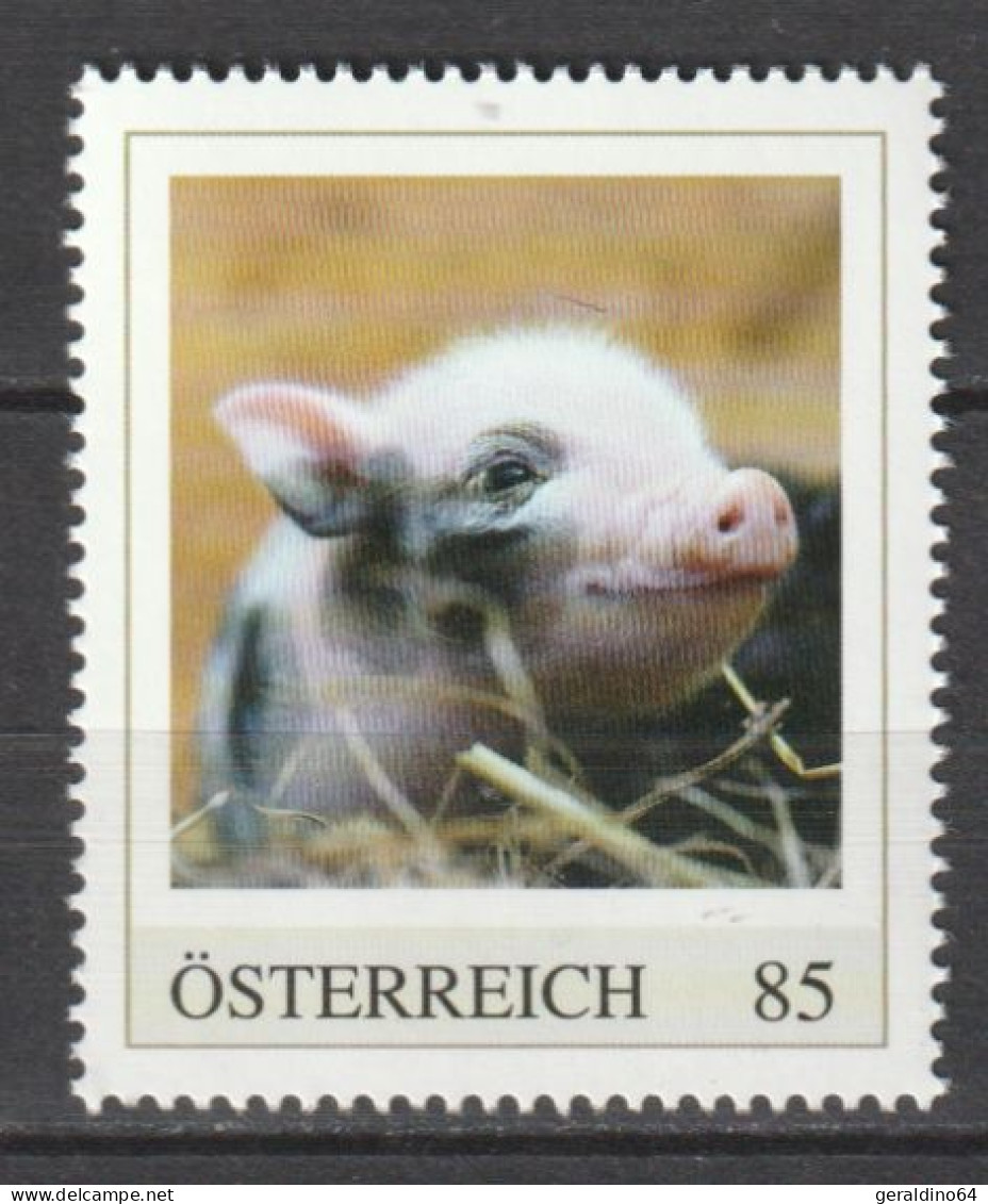 Österreich Personalisierte BM Tierkinder Ferkel ** Postfrisch - Personalisierte Briefmarken