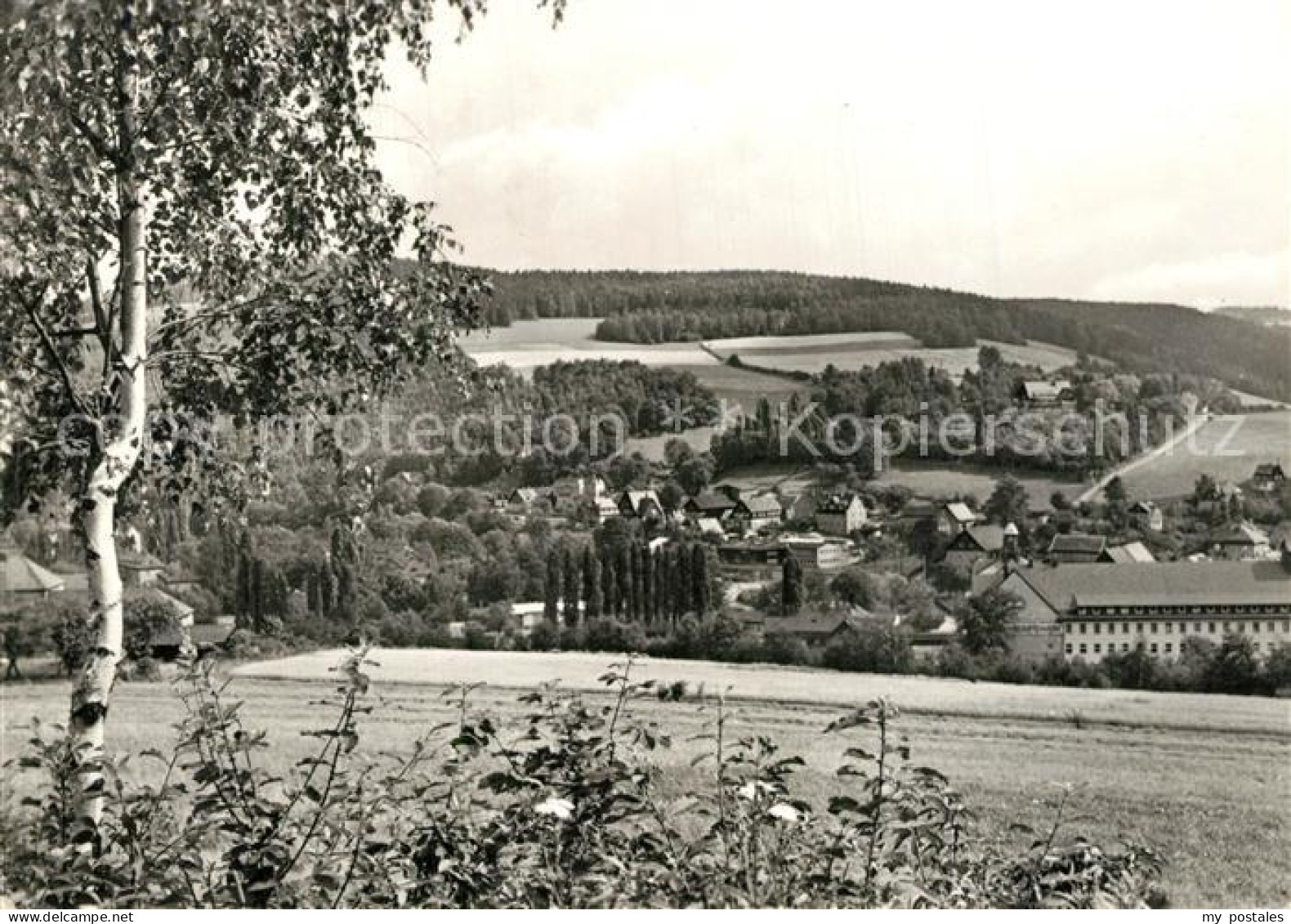 73566408 Schwarzenberg Erzgebirge Panorama Wohngebiet Wildenau Schwarzenberg Erz - Schwarzenberg (Erzgeb.)