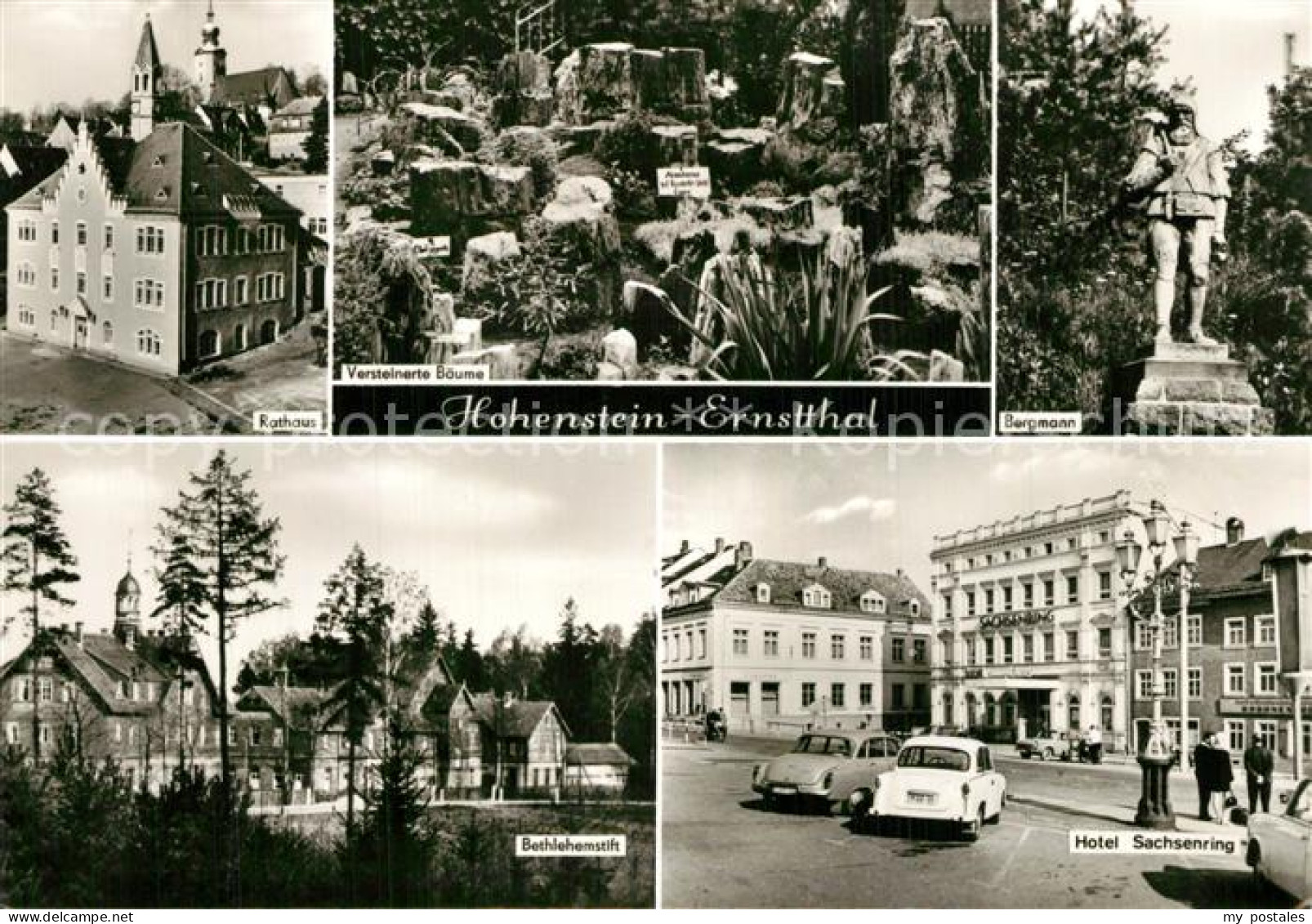 73566371 Hohenstein-Ernstthal Rathaus Versteinerte Baeume Bergmann Statue Hotel  - Hohenstein-Ernstthal