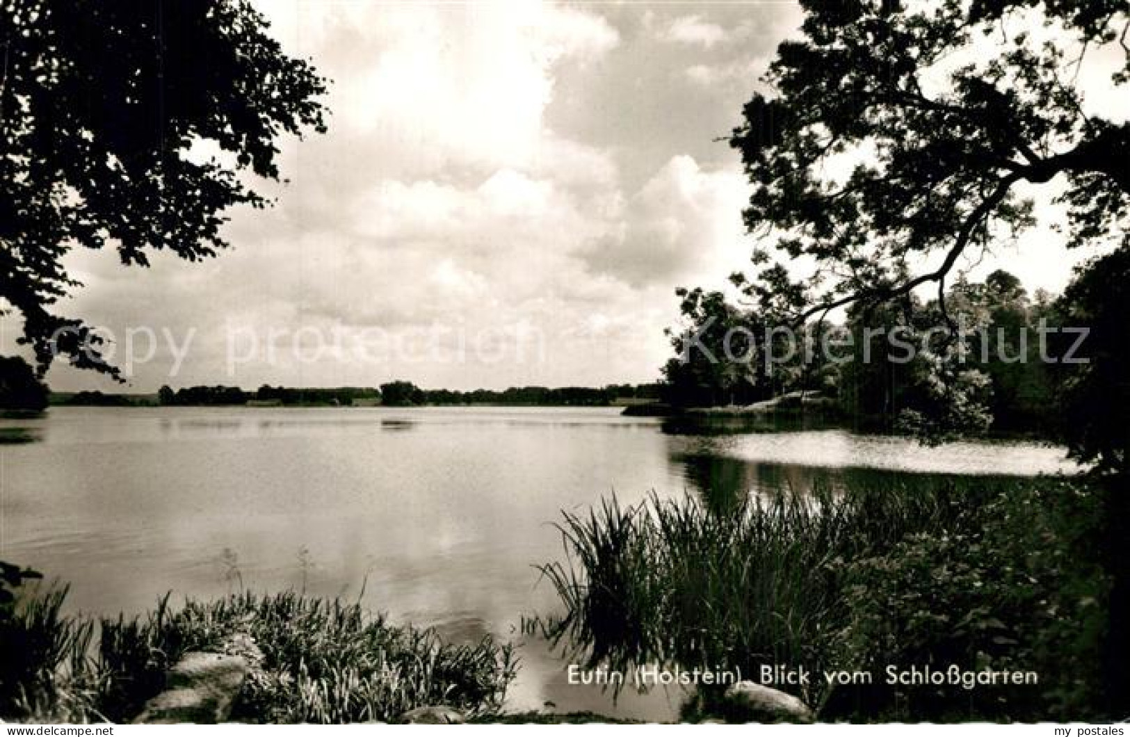 73565628 Eutin Blick Vom Schlossgarten Eutin - Eutin