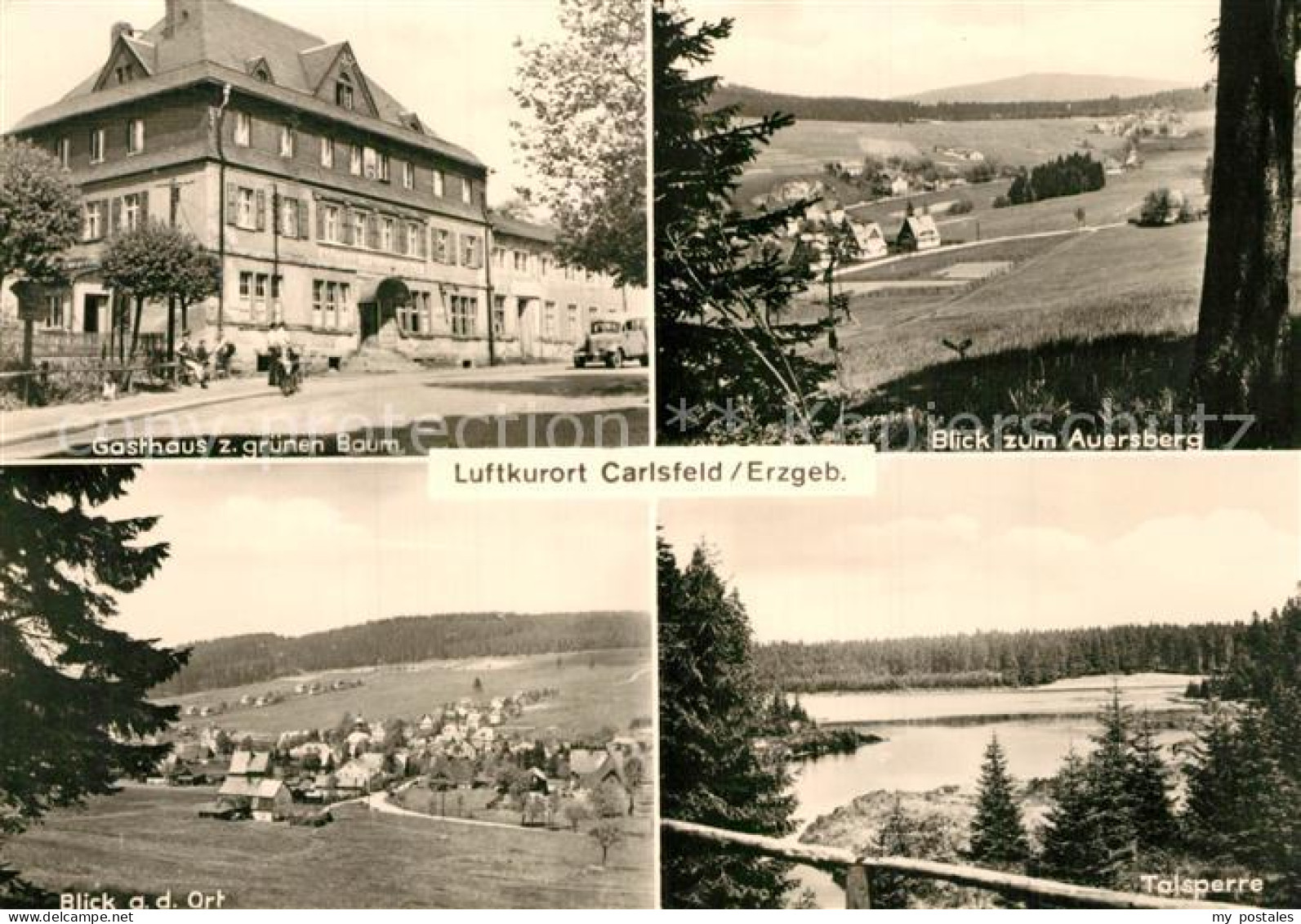 73565462 Carlsfeld Erzgebirge Gasthaus Zum Gruenen Baum Panorama Blick Zum Auers - Eibenstock