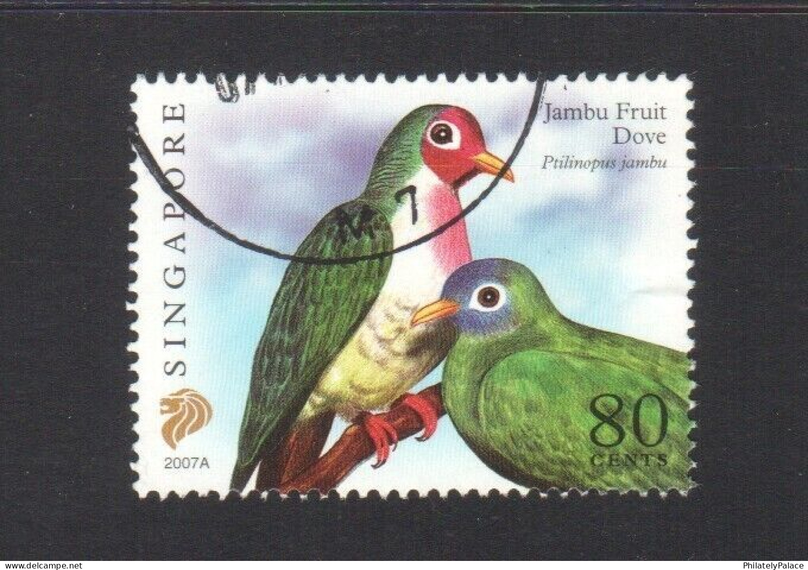 SINGAPORE 2007 JAMBU FRUIT DOVE, BIRD, $0.80 1ST PRINT (2007A) 1 STAMP IN FINE USED (**) - Singapore (1959-...)