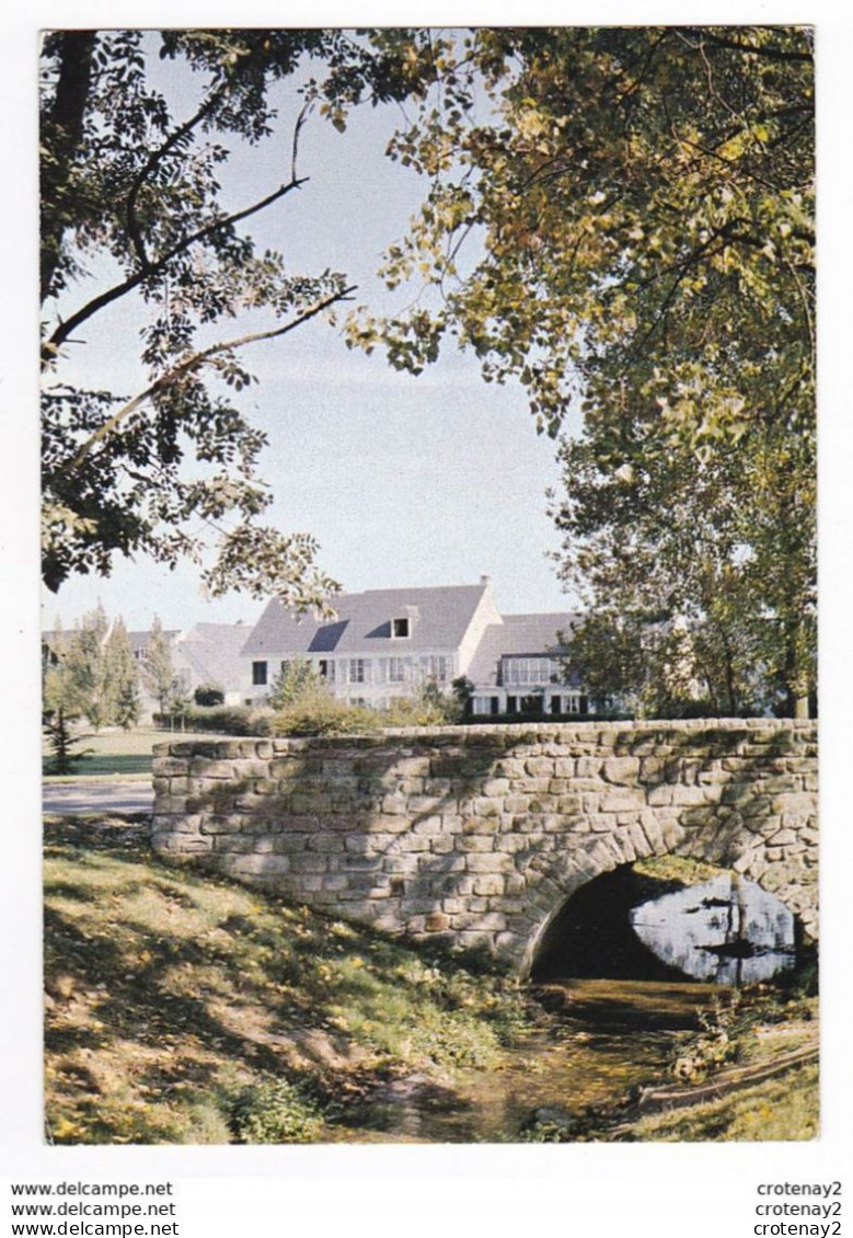 77 VERT SAINT DENIS Vers Cesson Melun Grand Village Et Rû Du BALORY En1981 Vieux Pont - Cesson