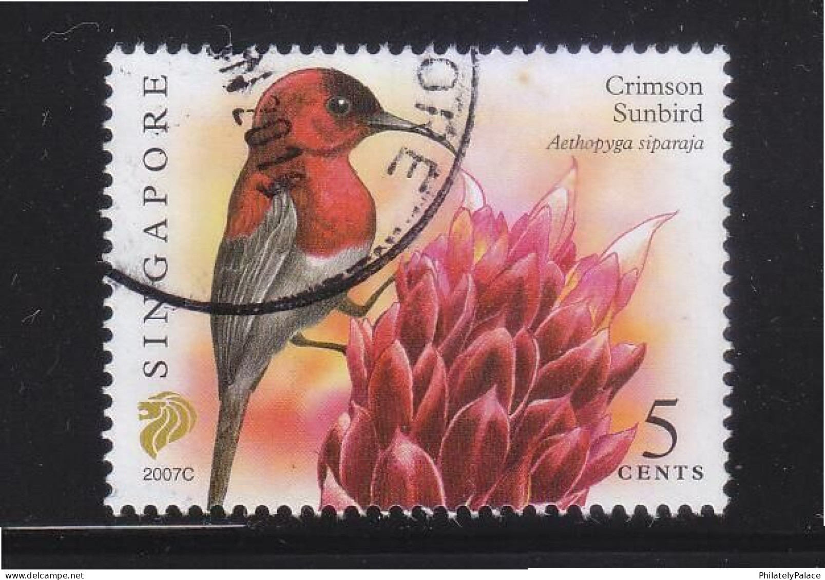 SINGAPORE 2007 CRIMSON SUNBIRD, BIRD, $0.05 2ND RE-PRINT (2007C) 1 STAMP IN FINE USED (**) - Singapore (1959-...)