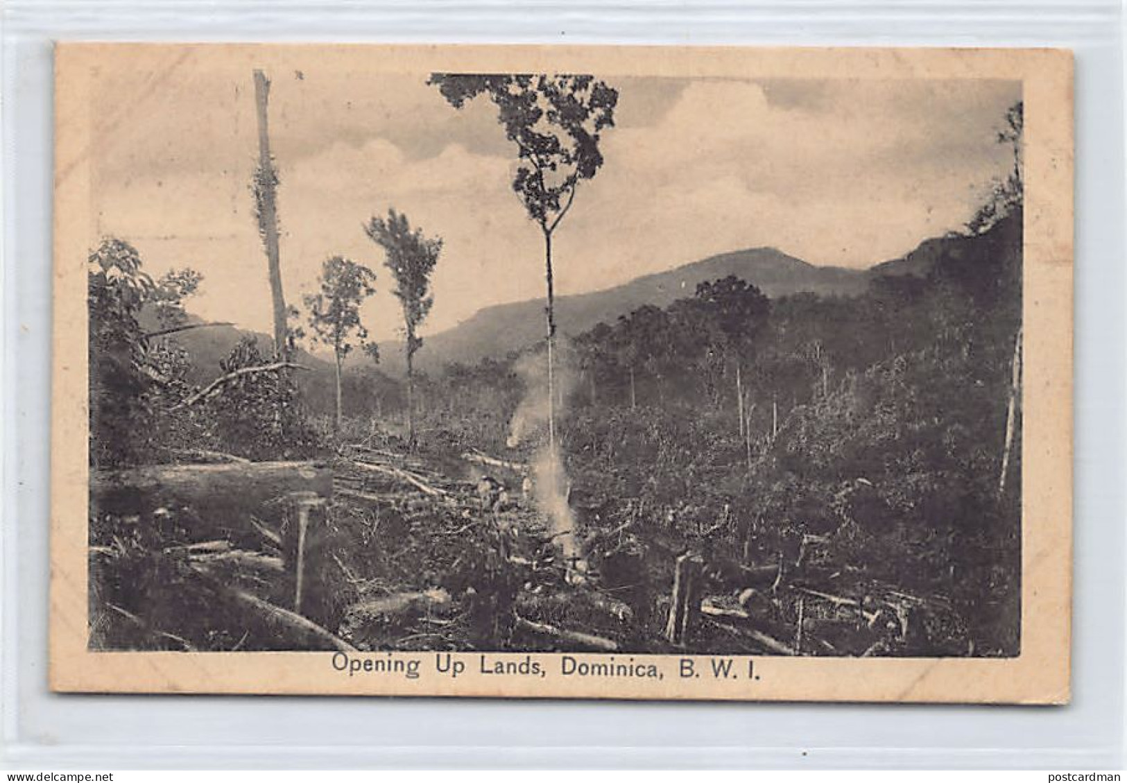 DOMINICA - Opening Up Lands - Publ. Geo. E. Pinard Photo Series C. G. Phillip  - Dominica