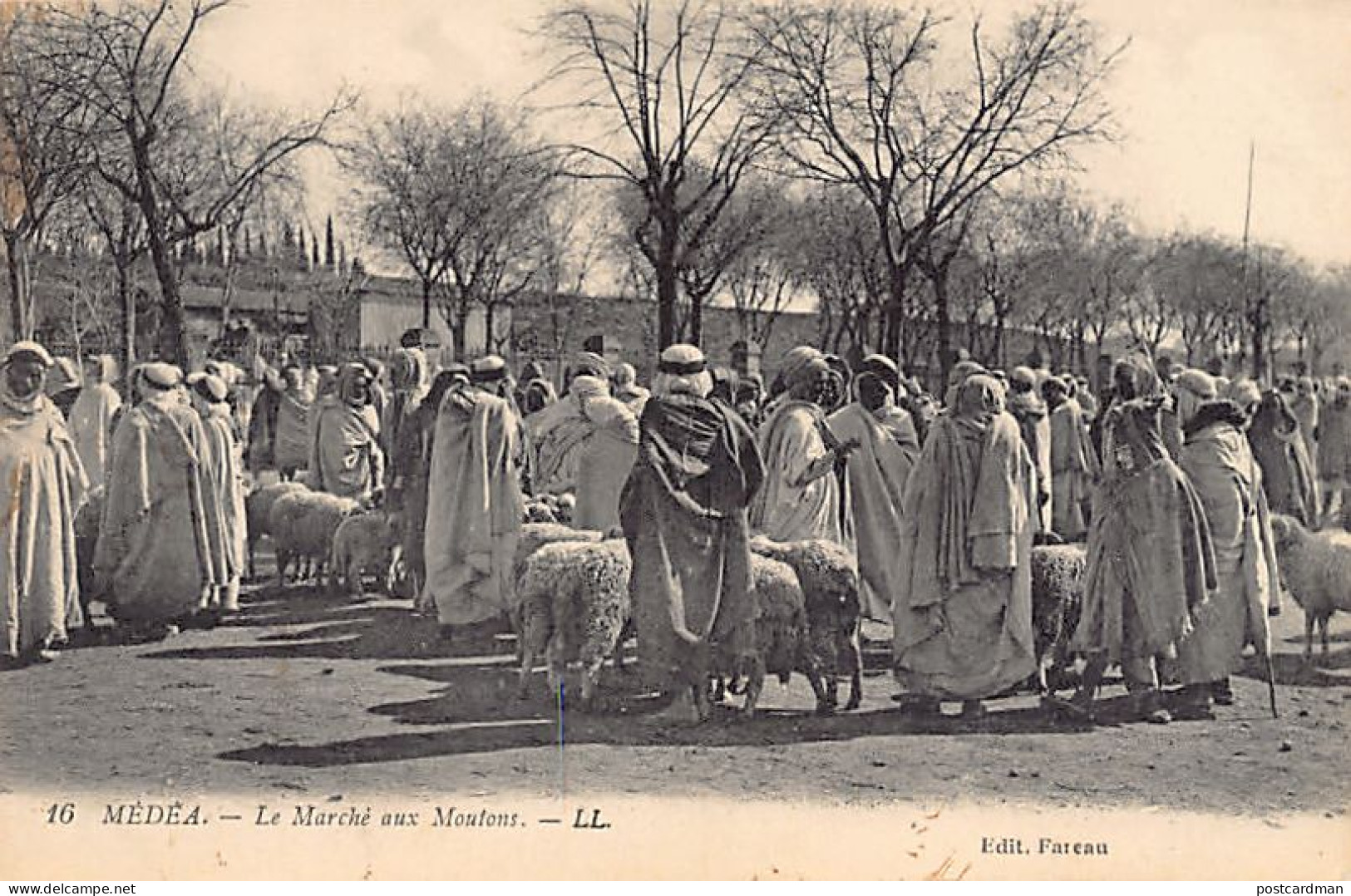 MÉDÉA - Le Marché Aux Moutons - Medea