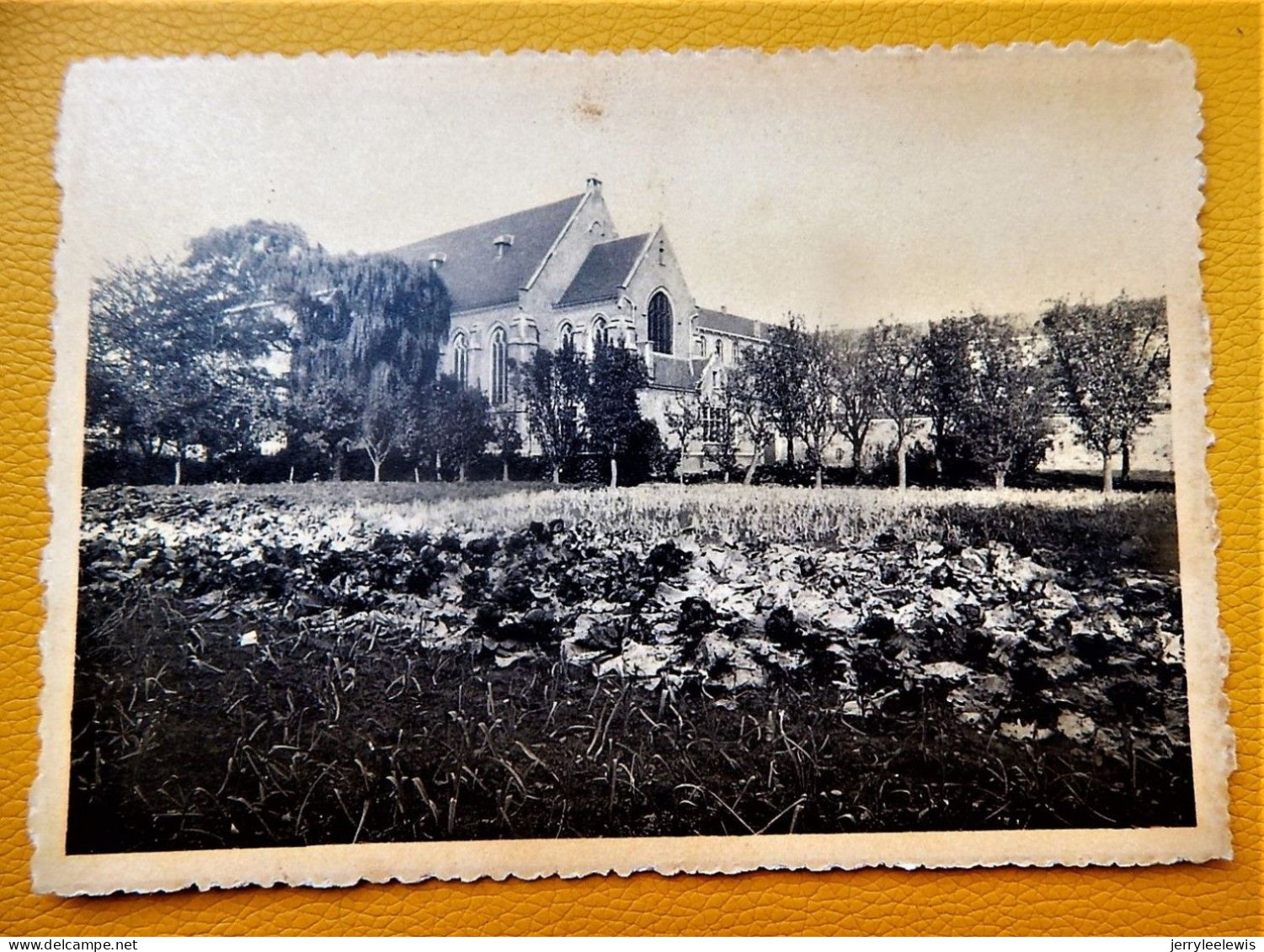 SINT-NIKLAAS  - 3 POSTKAARTEN :  Bisschoppelijke Normaalschool  - Speelplaats - Oefenschool - Gezicht Op De Tuin - Sint-Niklaas