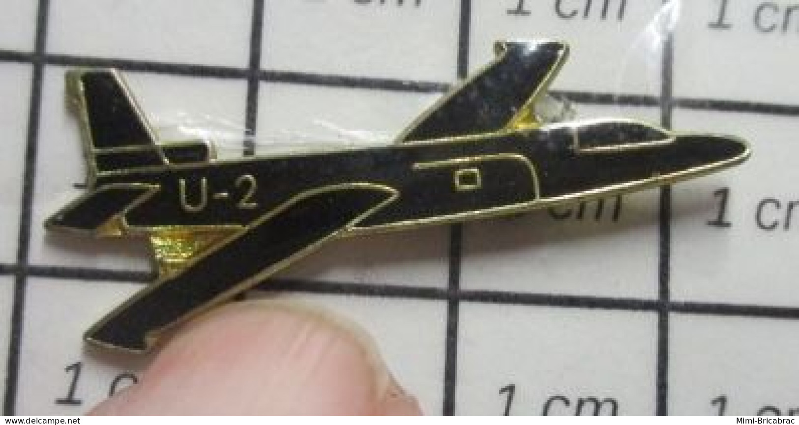 216A Pin's Pins : BEAU ET RARE / AVIATION / AVION ESPION CIA U-2 USAF BLACKBIRD - Avions