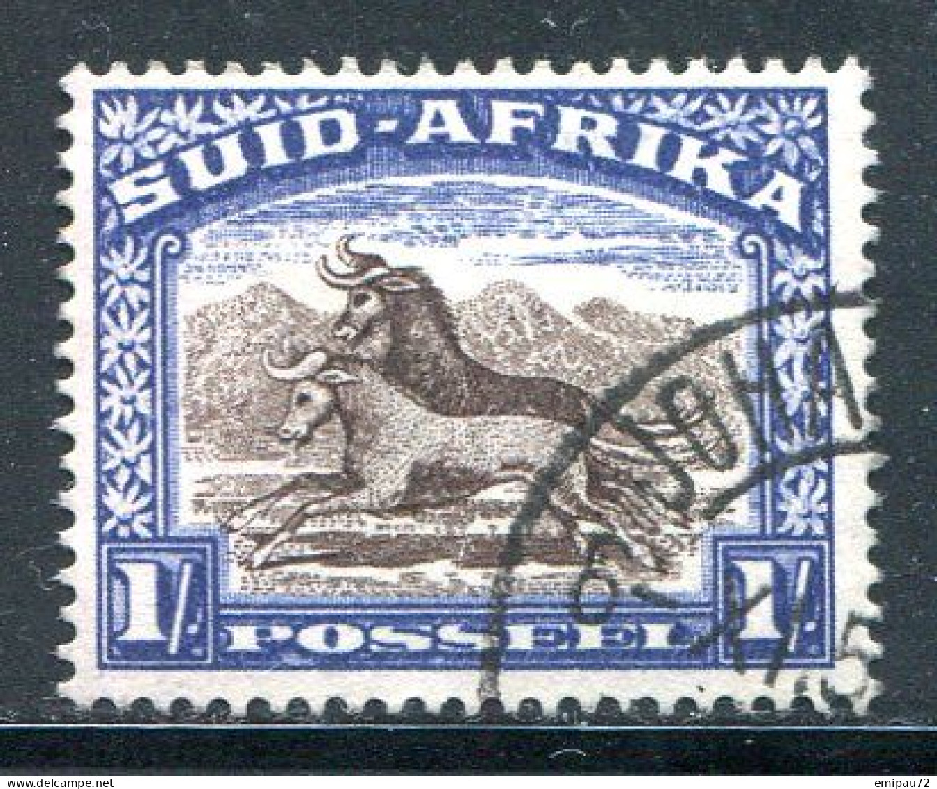 AFRIQUE DU SUD- Y&T N°53- Oblitéré - Used Stamps