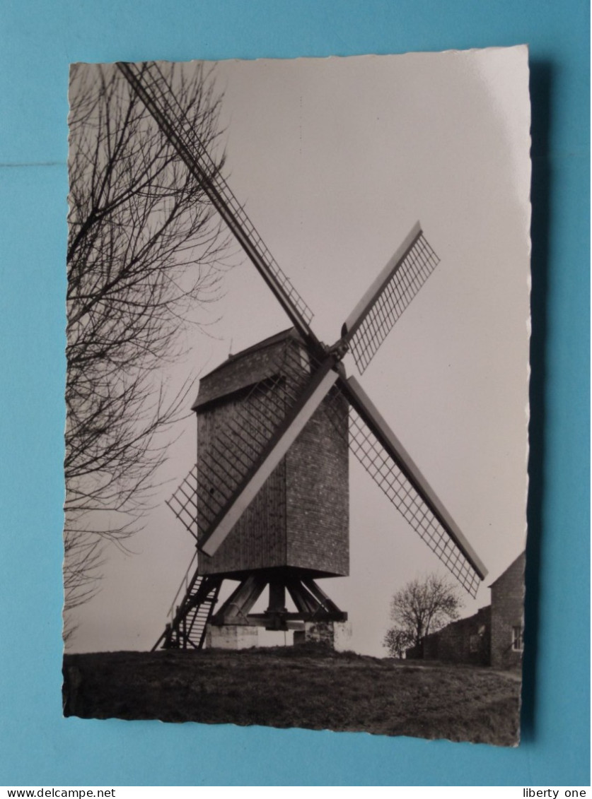 KLEMSKERKE De Molen ( Edit.: Adriaens ) Anno 19?? ( Zie SCANS ) ! - De Haan