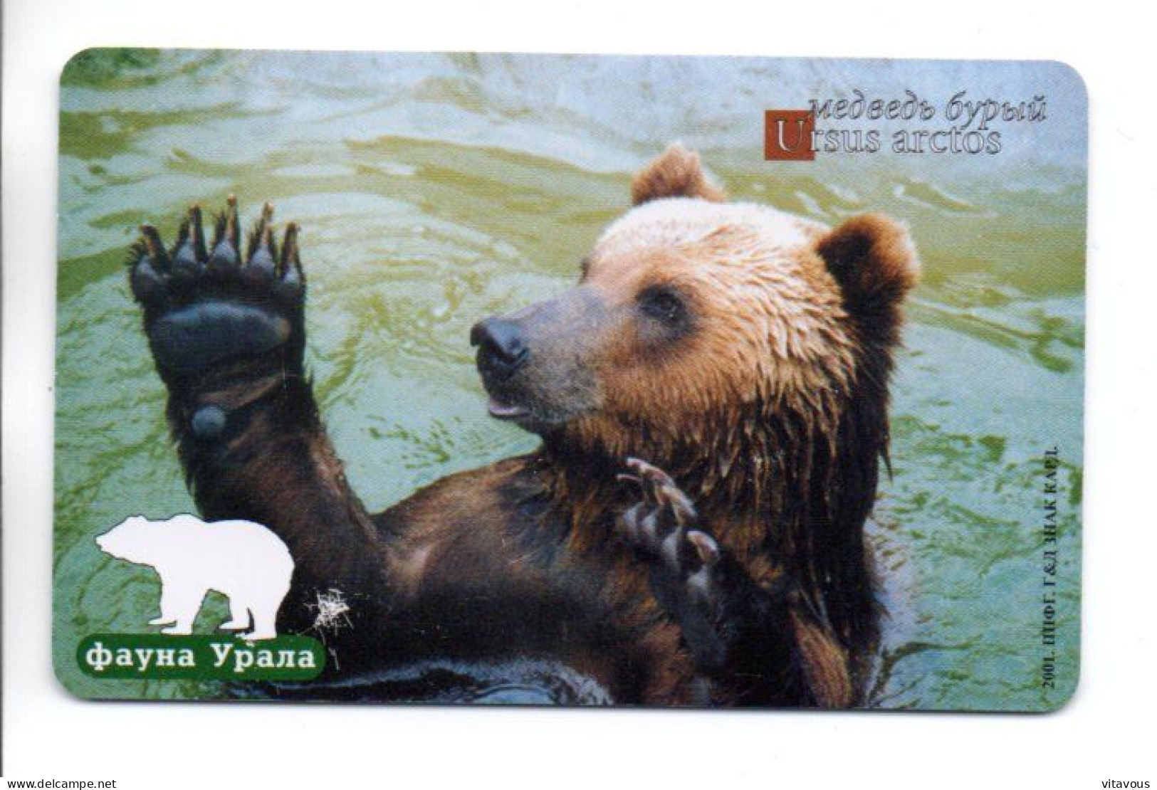 Panda Ours Bear Animal Télécarte Puce Russie Phonecard ( K 49) - Russie