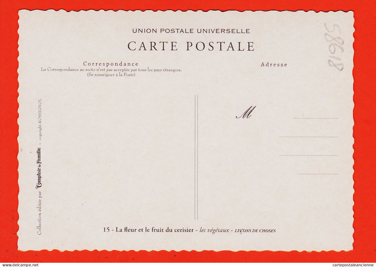 36755 / ⭐ FLEUR FRUITS CERISIER Carte Didactique Végétaux Leçons Choses 18 ROSSIGNOL Collection Comptoir Famille 1960s - Árboles