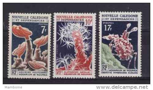 Nouvelle Calédonie 1964   N° 322 à 324    Neuf  X X - Unused Stamps