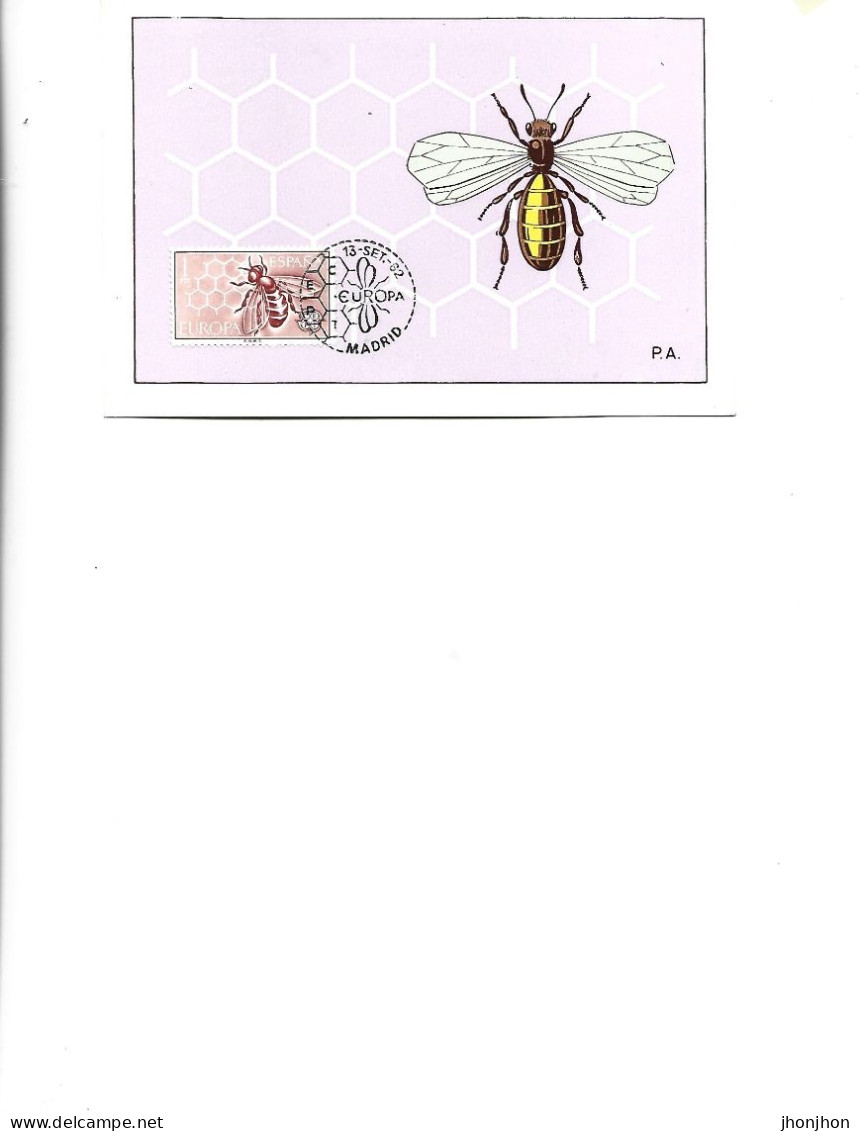 Spain  -  Maximum Postcard  1962 -    Bees - Anthophila - Bombus Pratorum (?) - Api