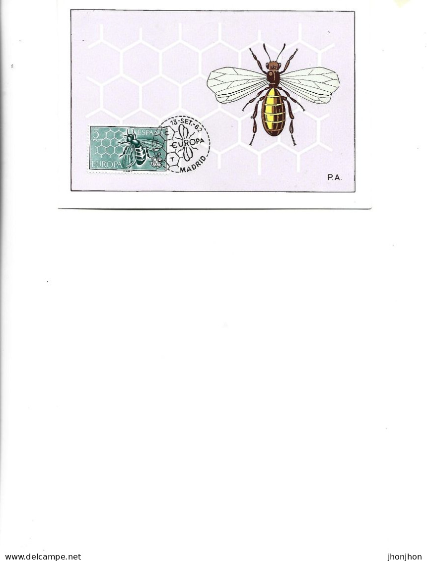 Spain  -  Maximum Postcard  1962 -    Bees - Anthophila - Bombus Pratorum (?) - Abejas