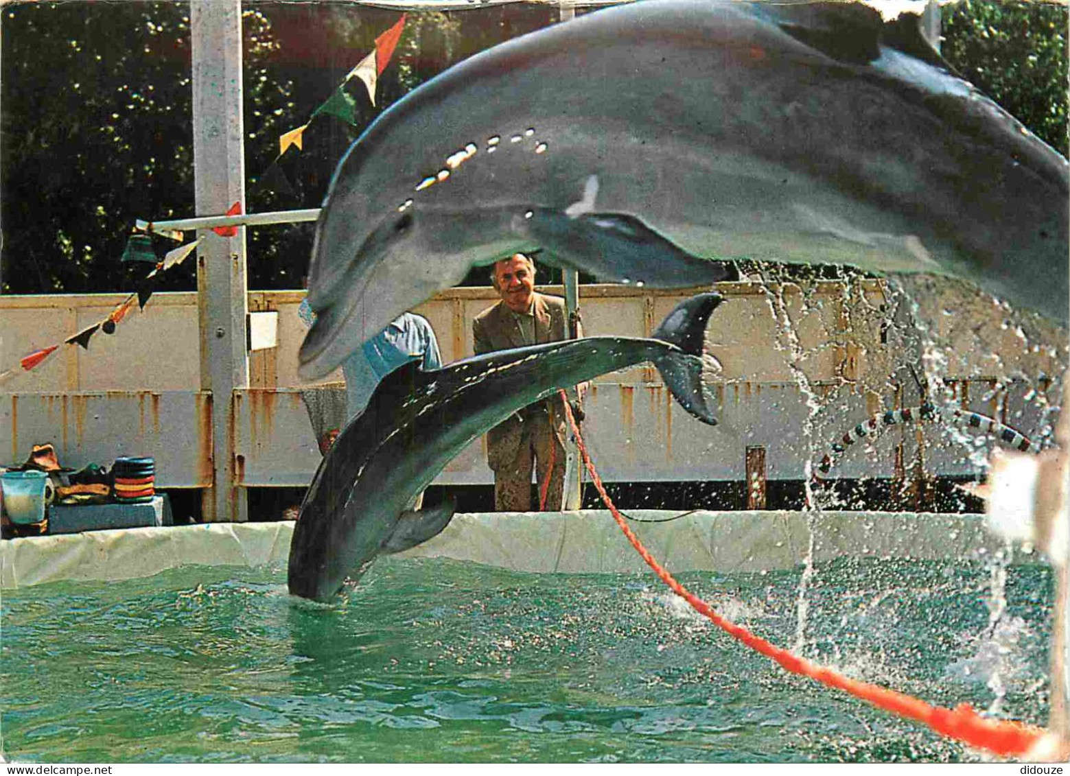 Animaux - Zoo Jean Richard De Ermenonville - Les Célèbres Dauphins De Jean Richard Et Du Capitaine Richard Decker - Dolp - Dolfijnen