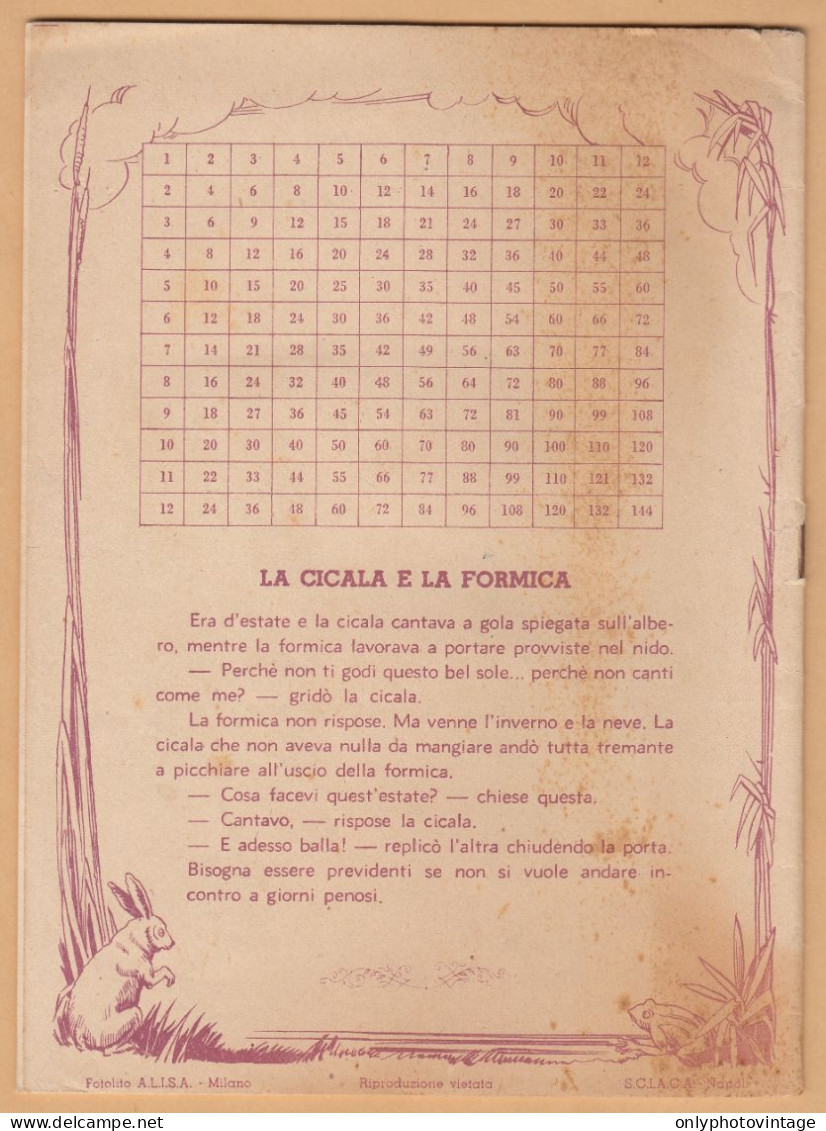 Quaderno Periodo Fascista Anni 30, La Cicala E La Formica, Pittore Chiletto - Collections