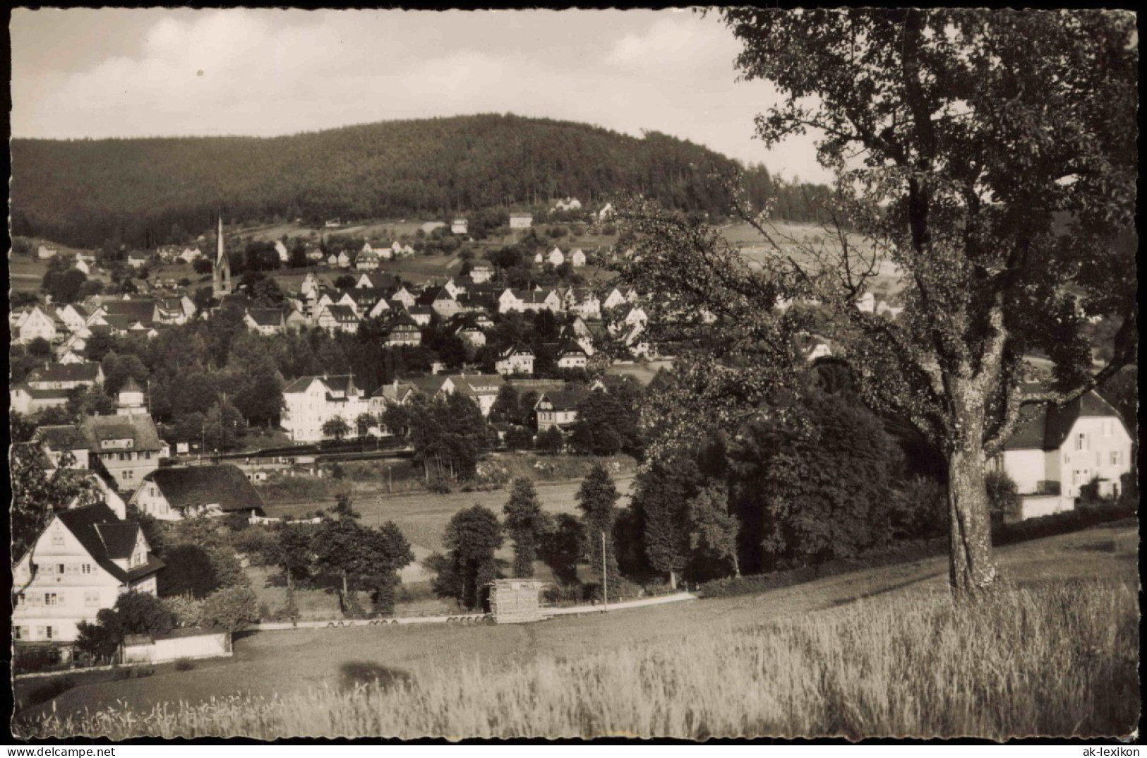 Ansichtskarte Baiersbronn Stadt Mit Haus Schönblick 1959 - Baiersbronn