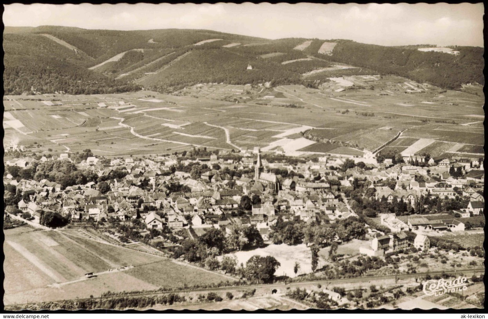 Ansichtskarte Deidesheim Luftbild 1954 - Deidesheim