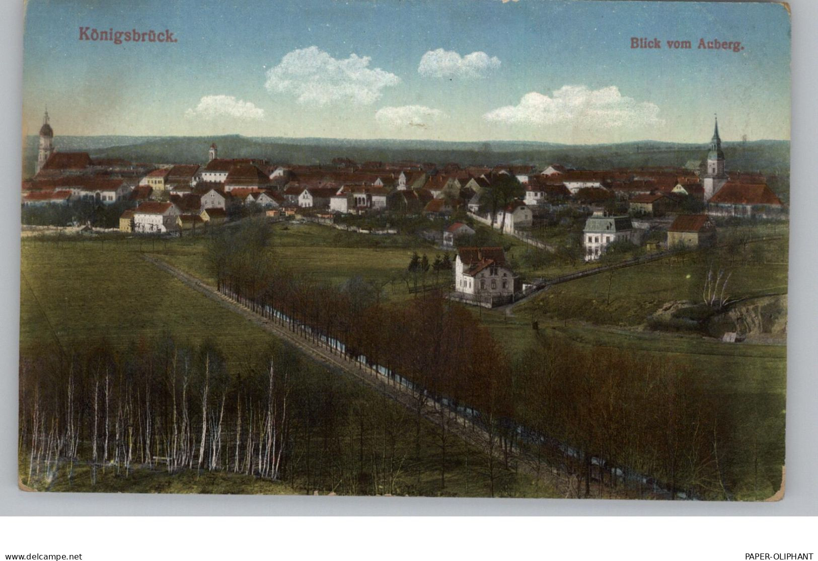 0-8293 KÖNIGSBRÜCK, Blick Vom Auberg - Koenigsbrueck